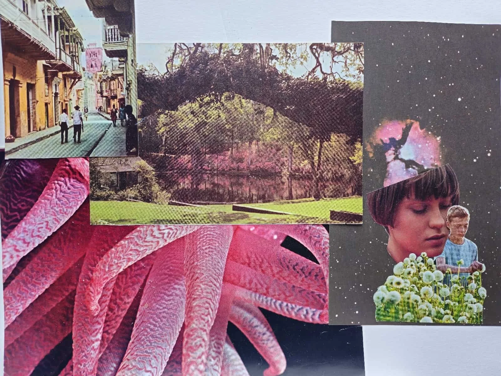 WhatsApp Image 2025-10-07 at 15.31.01_b51cfdc8.jpg