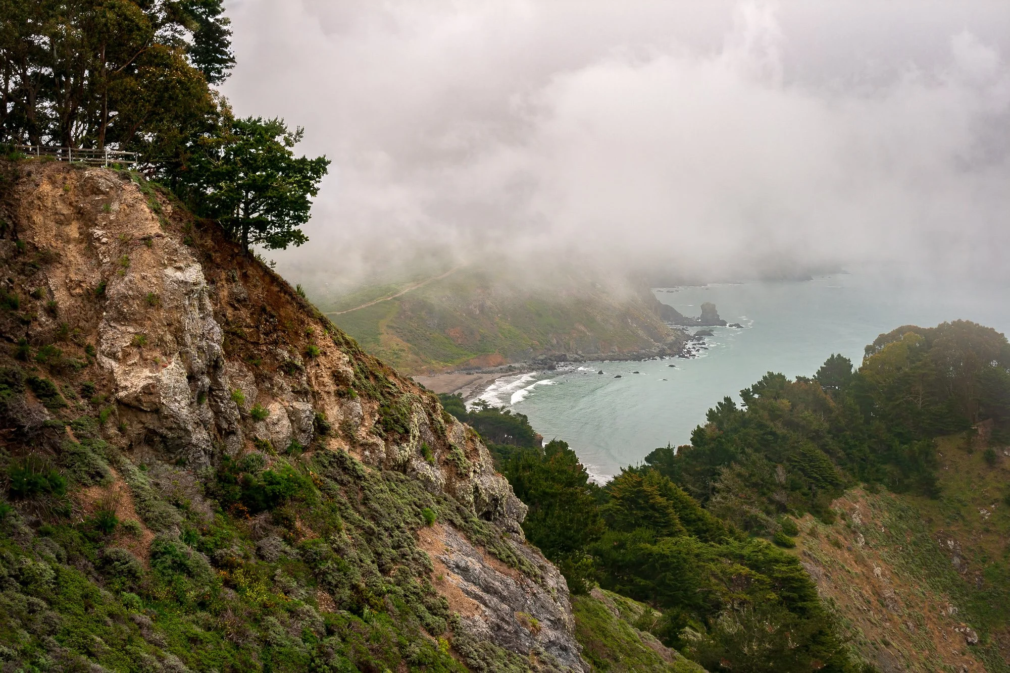 Point Reyes Lookout