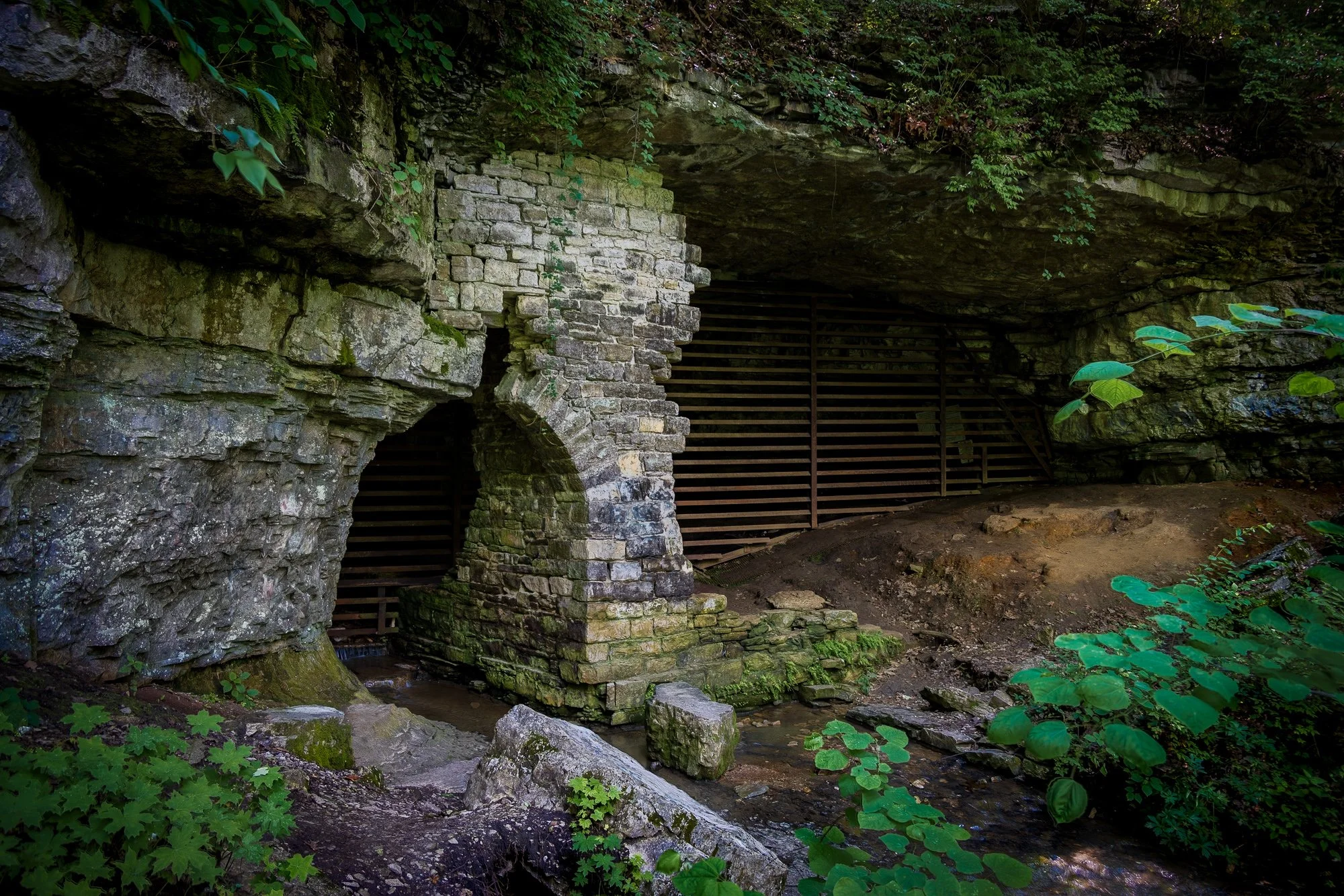 At the Mouth of Cliff Cave
