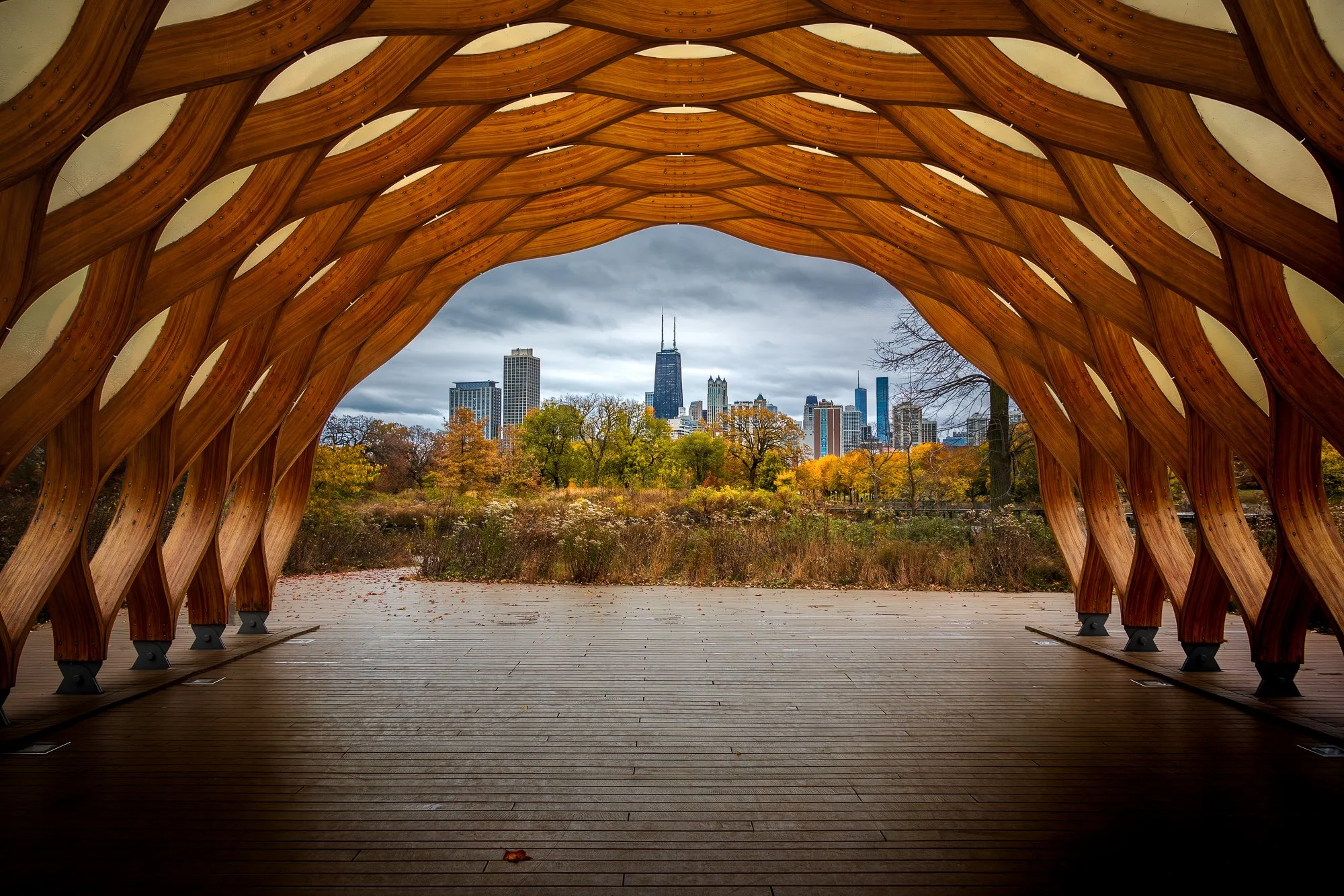 A Quiet Side of the Chicago Skyline