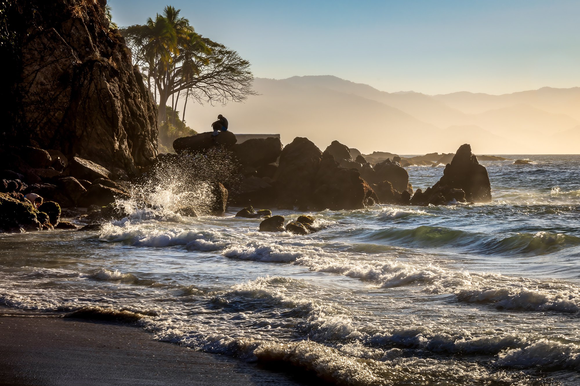 Romance, Death, and Street Tacos