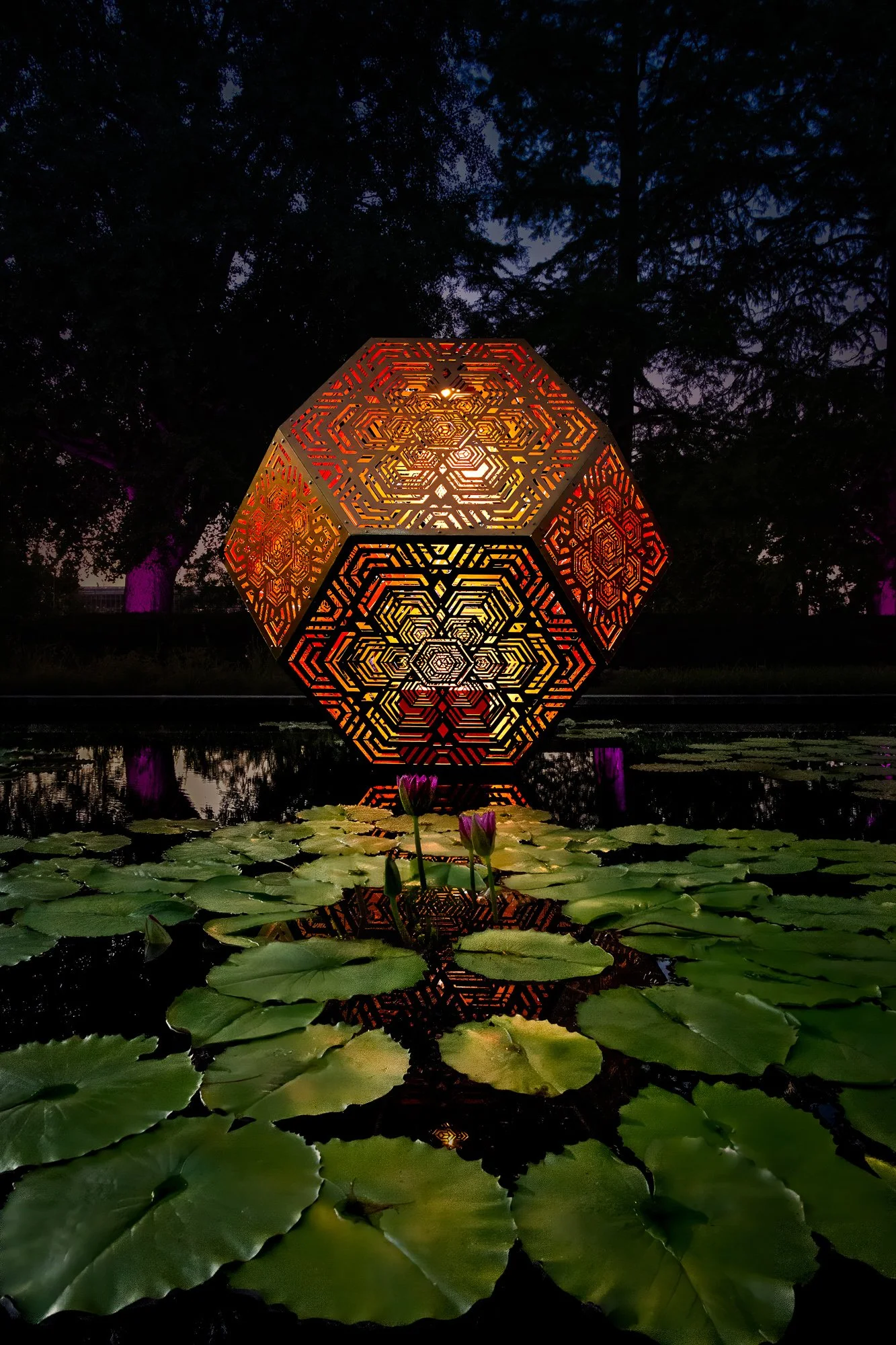 HYBYCOZO - Lilypads