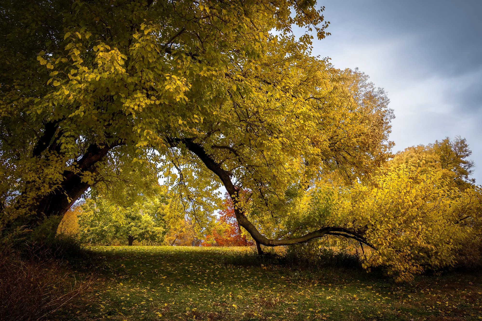 The Weight of Autumn