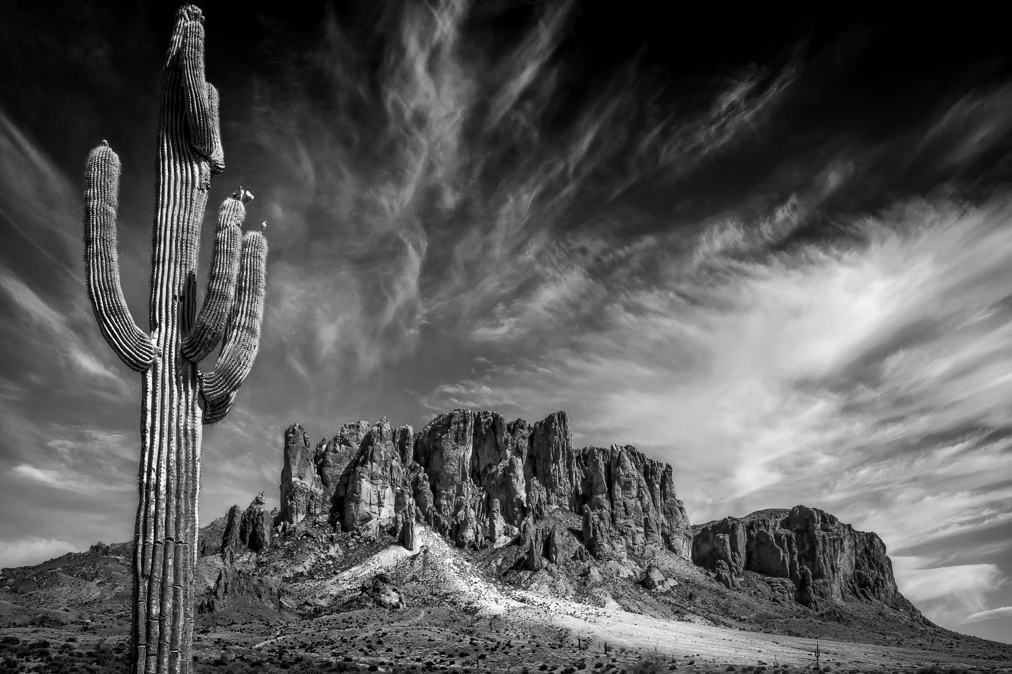Superstition and Saguaro