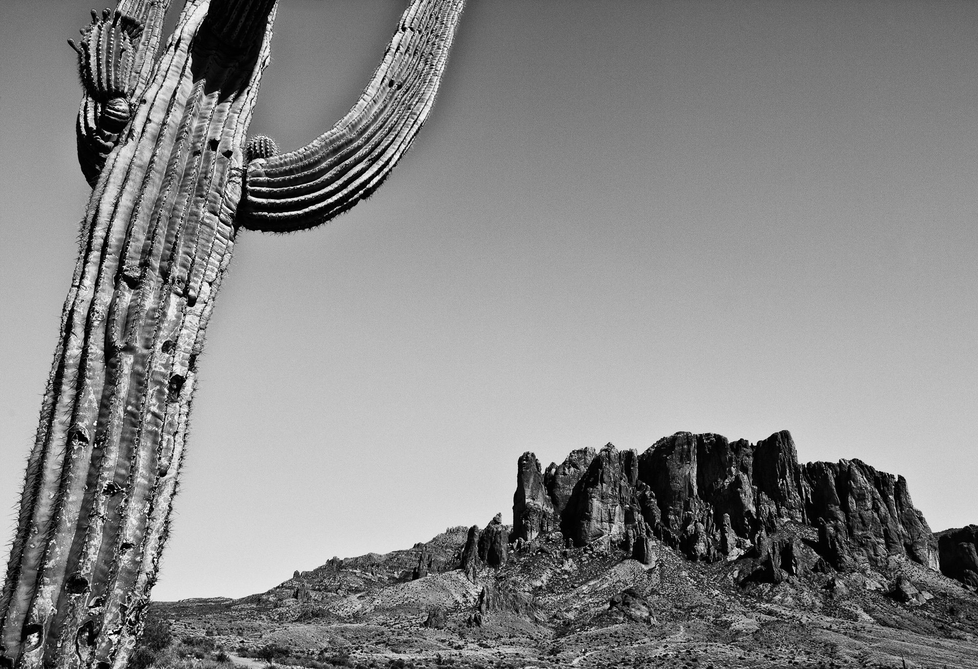 Superstition and Saguaro