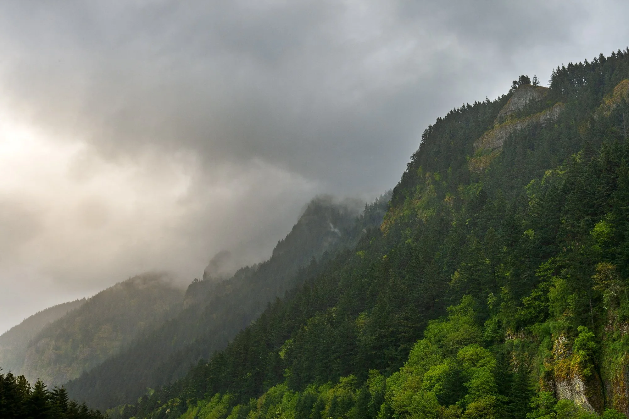 Columbia River Gorge I