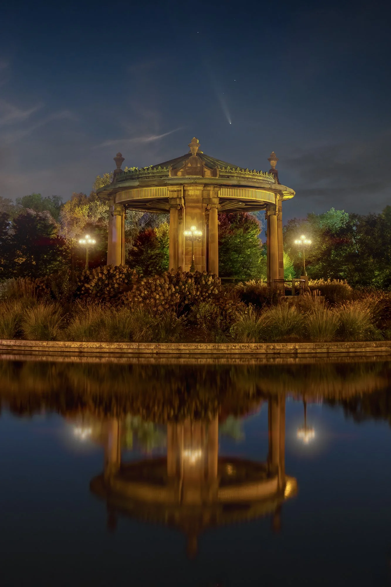 Comet Over Forest Park
