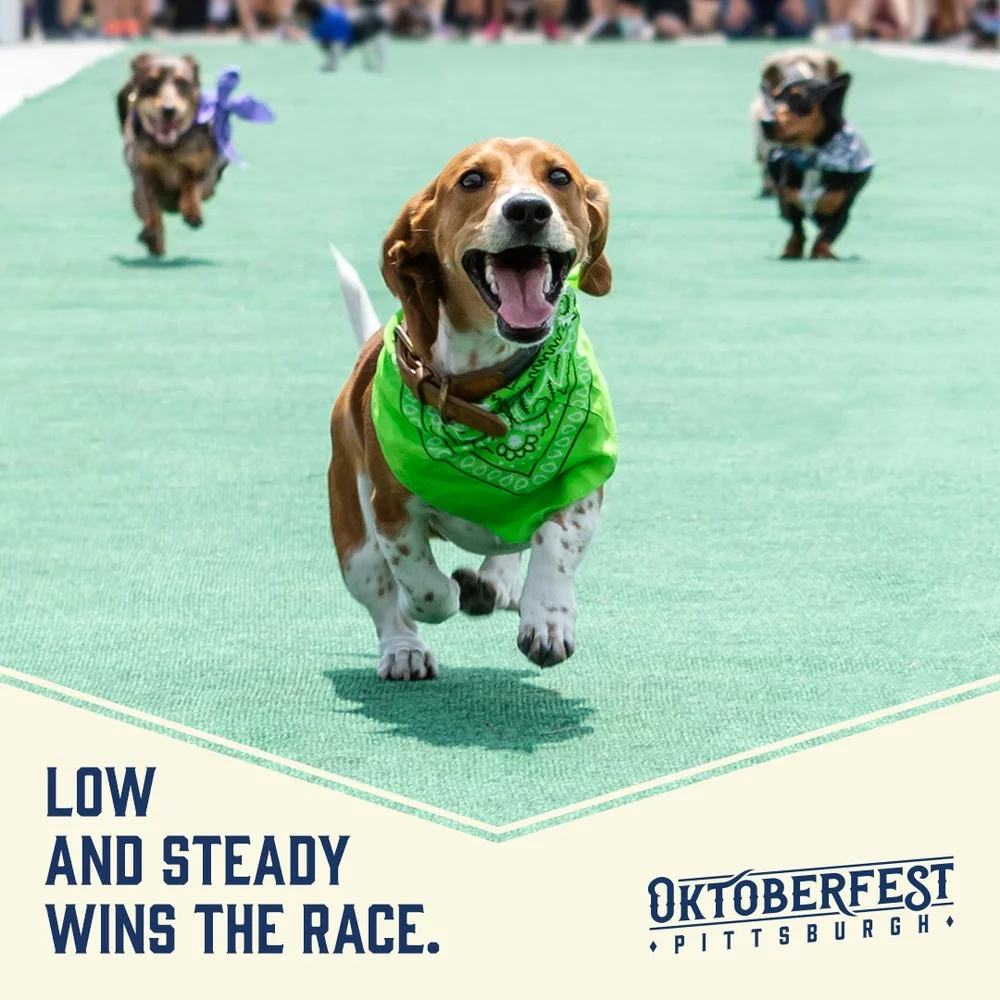 Stunning Oktoberfest Wiener Dog Races 2025 Design Photography Stunning Oktoberfest Wiener Dog Races 2025 Design Photography