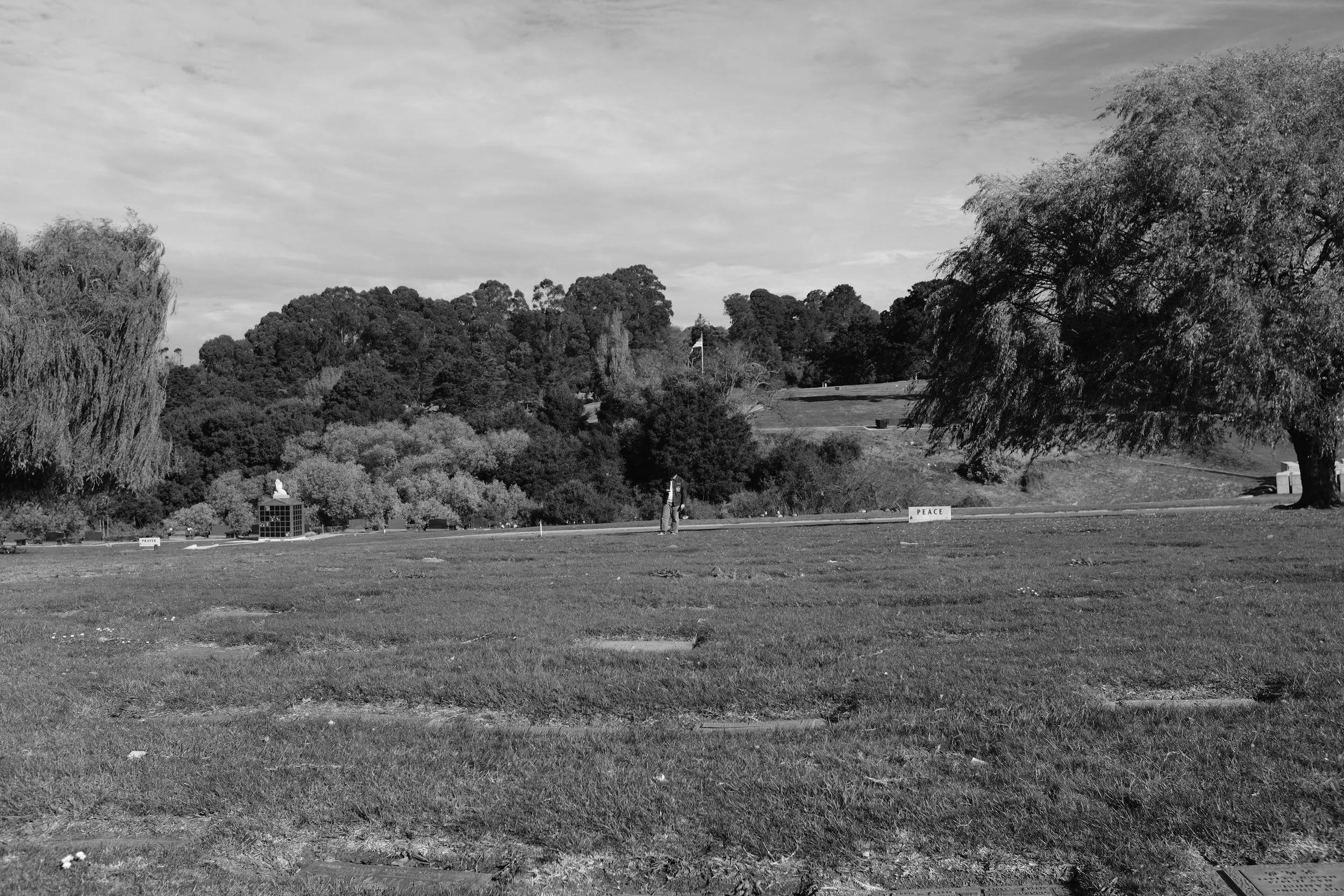 DSCF2179.JPG