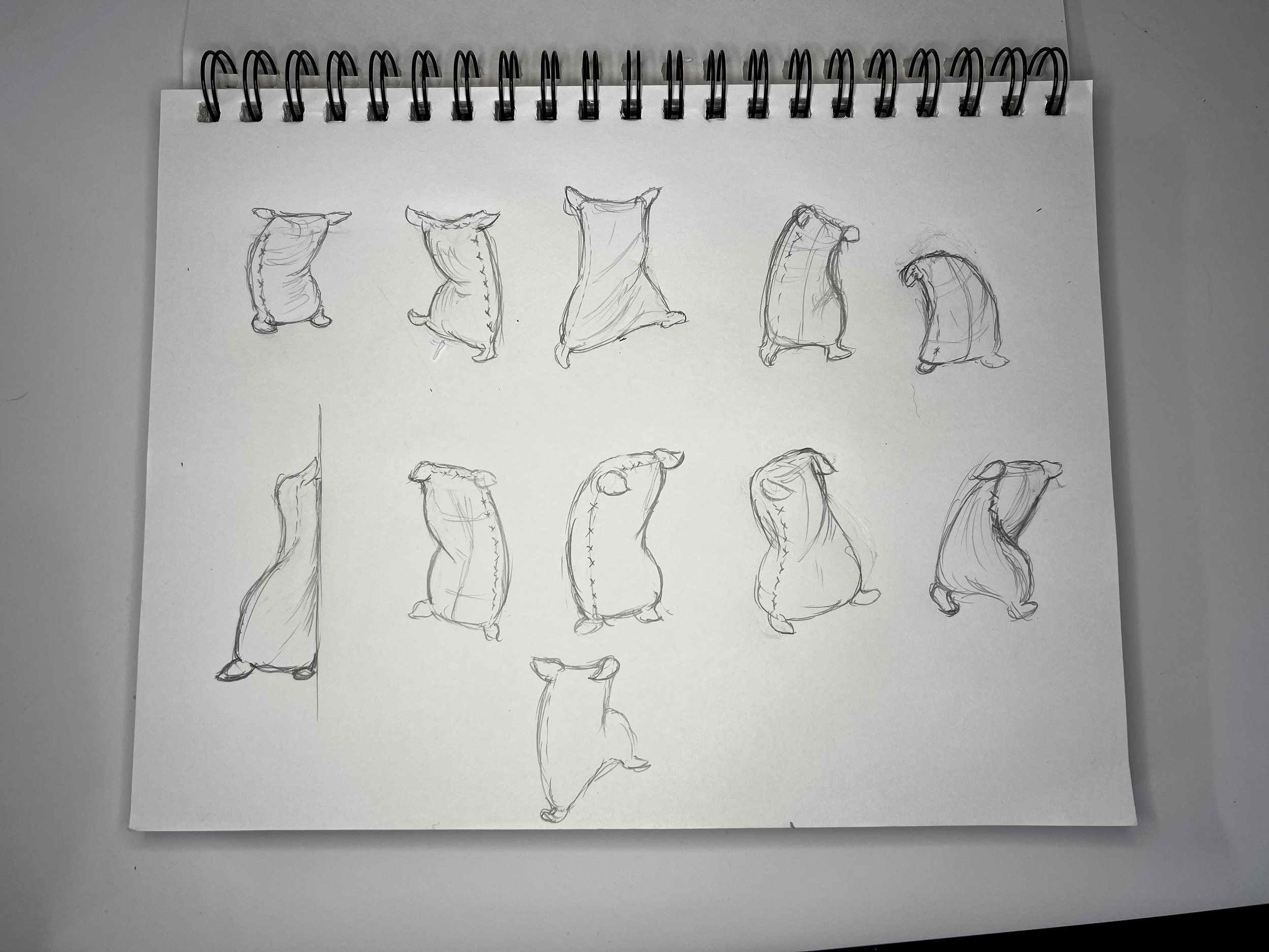 Flour Sac Exercise