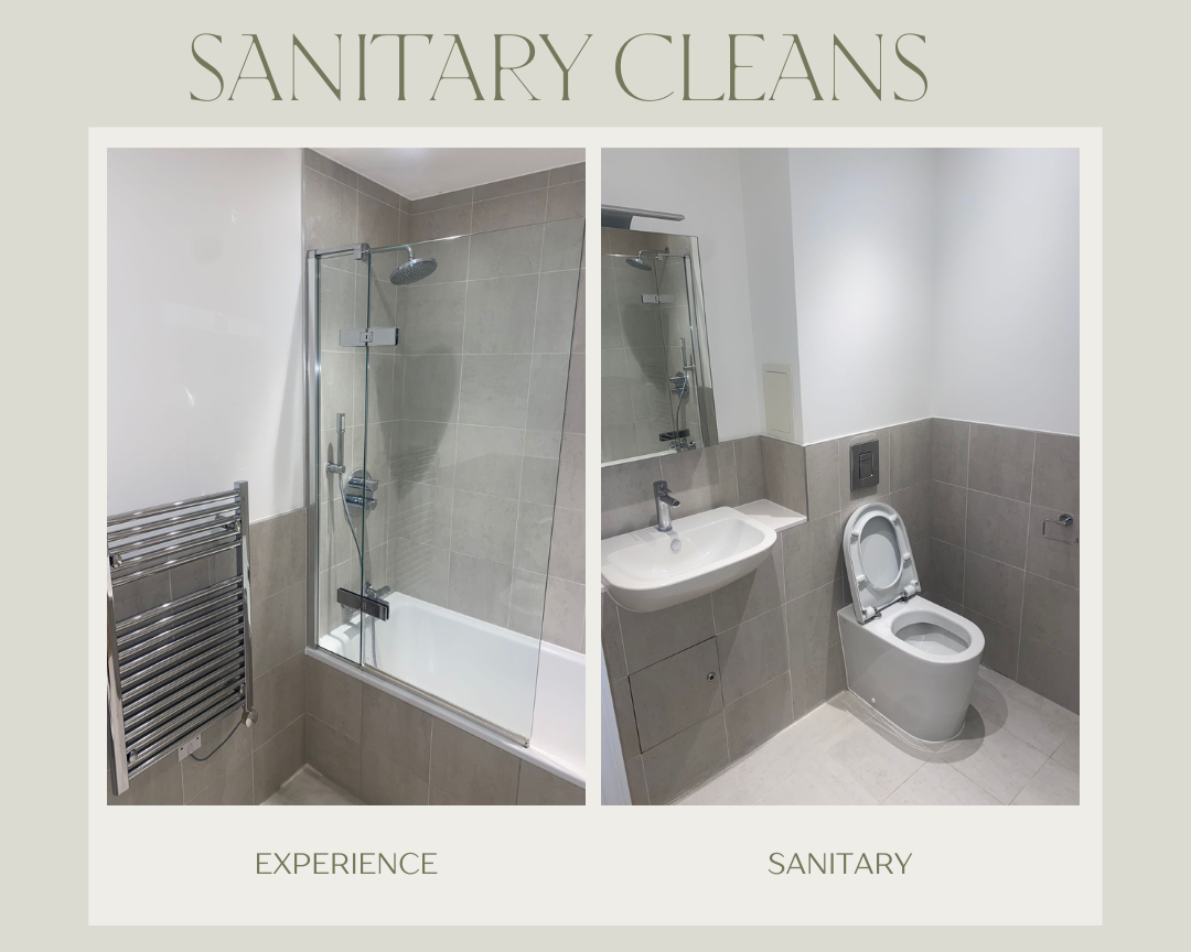 Experience+Sanitary+%282%29.png