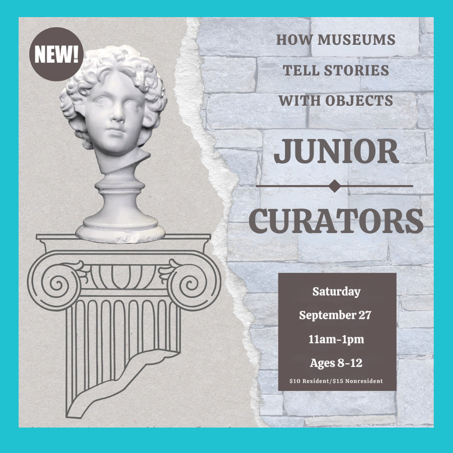 Junior Curators
