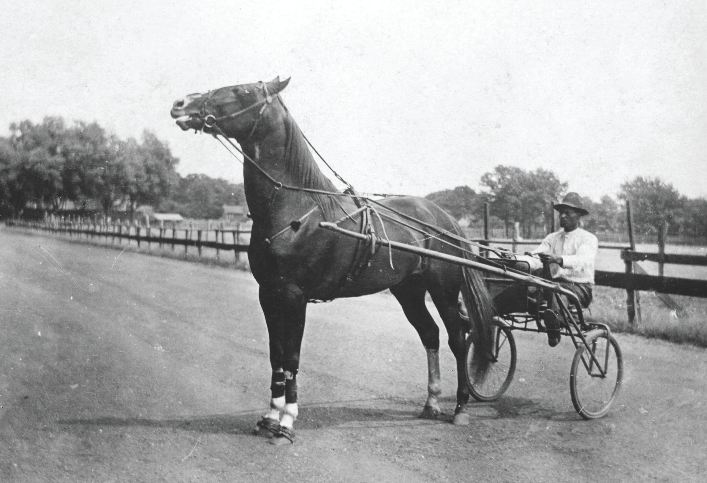 The Tarver Family: Black Pioneers of Waukegan