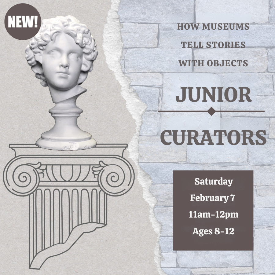 Junior Curators