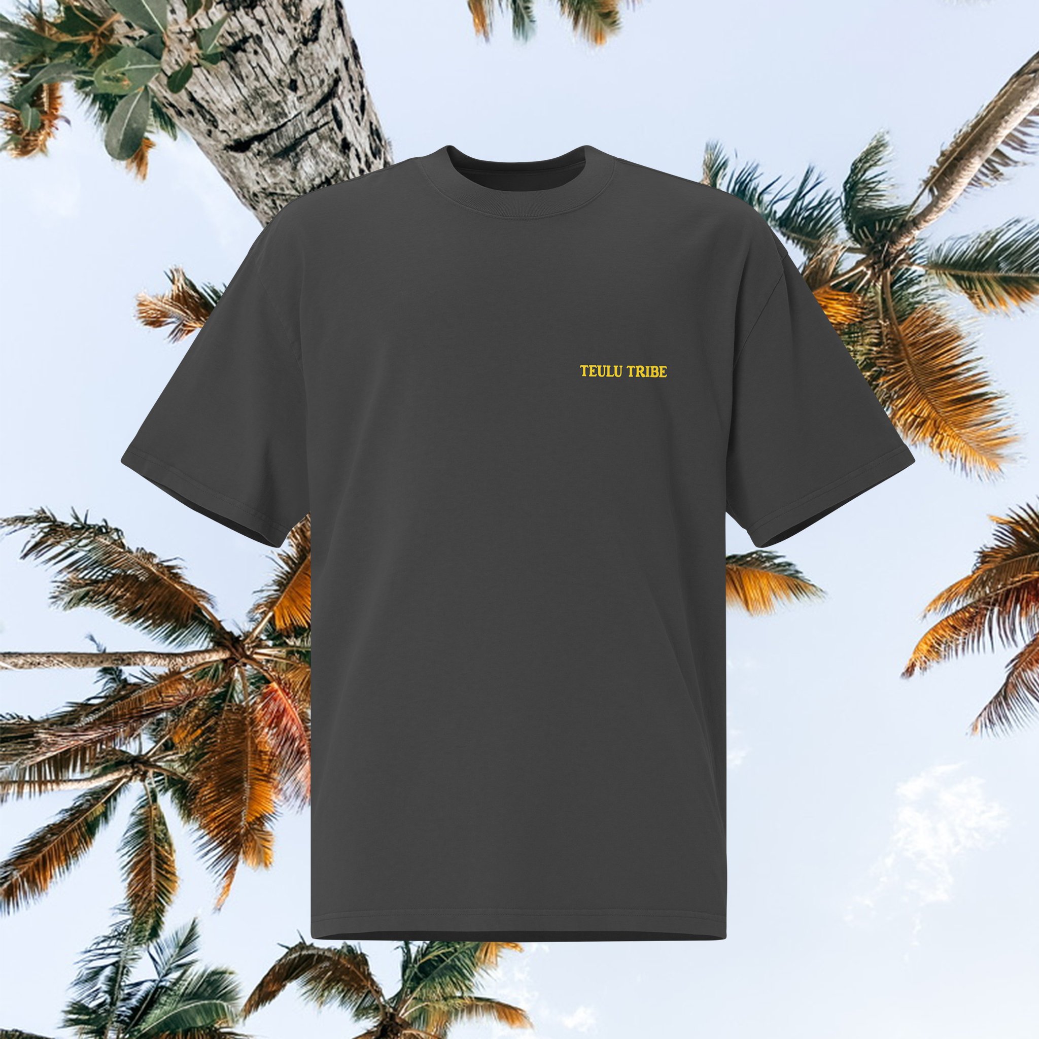 Oversized Black Tee Front.jpg
