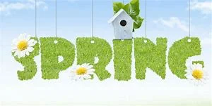 Spring Clean Your Finances