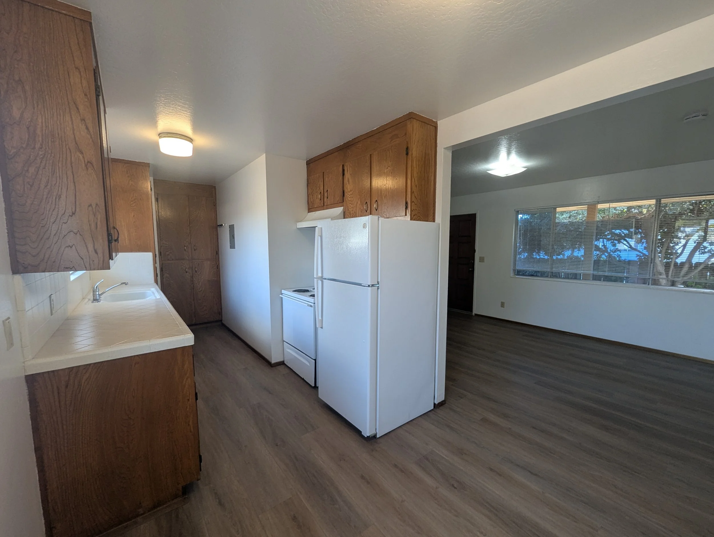 PXL_20250130_214719096.jpg