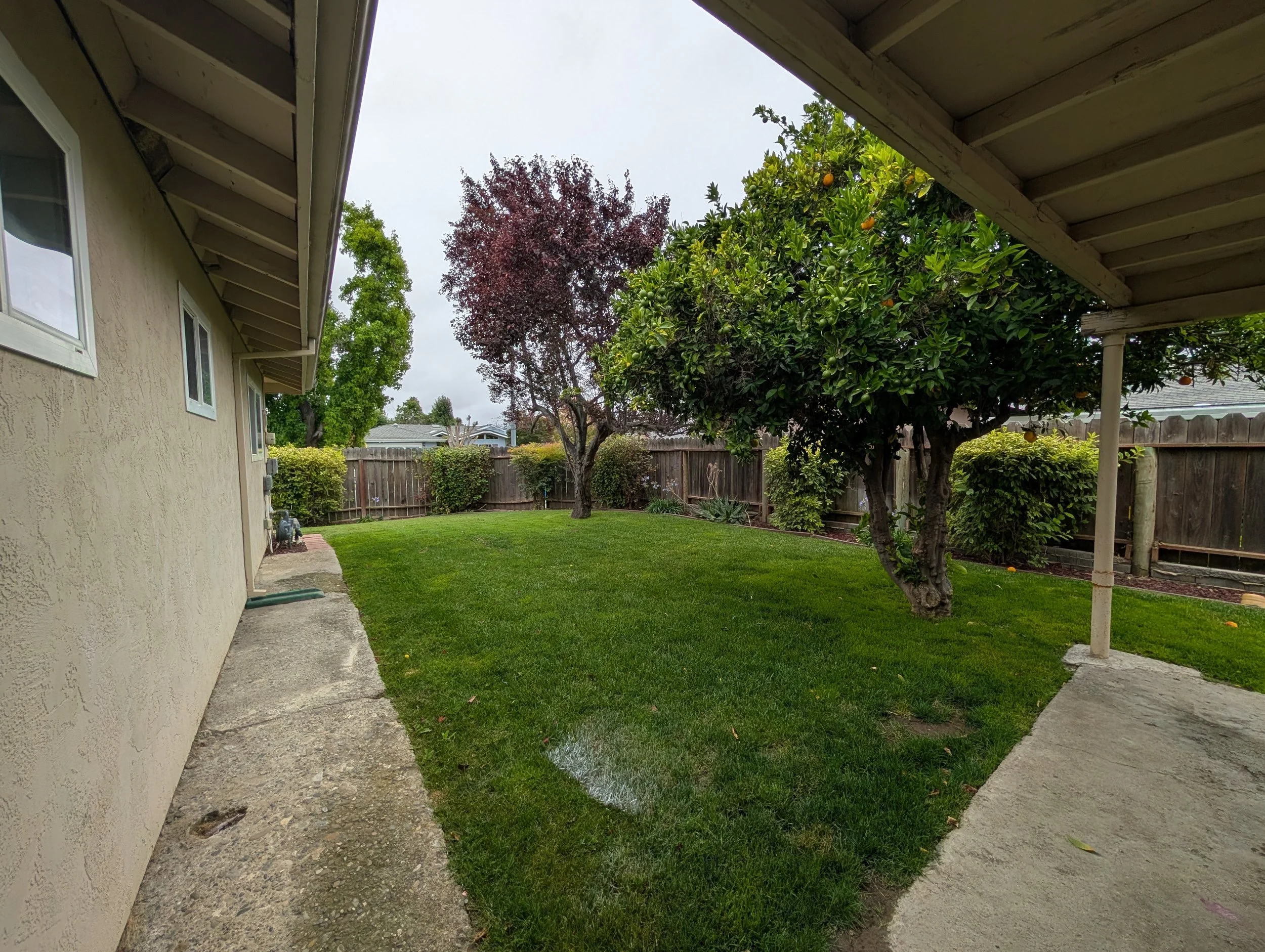 PXL_20260619_174546425.jpg