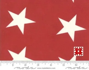 Moda Star Bunting by Minick & Simpson- 2 Metre Piece