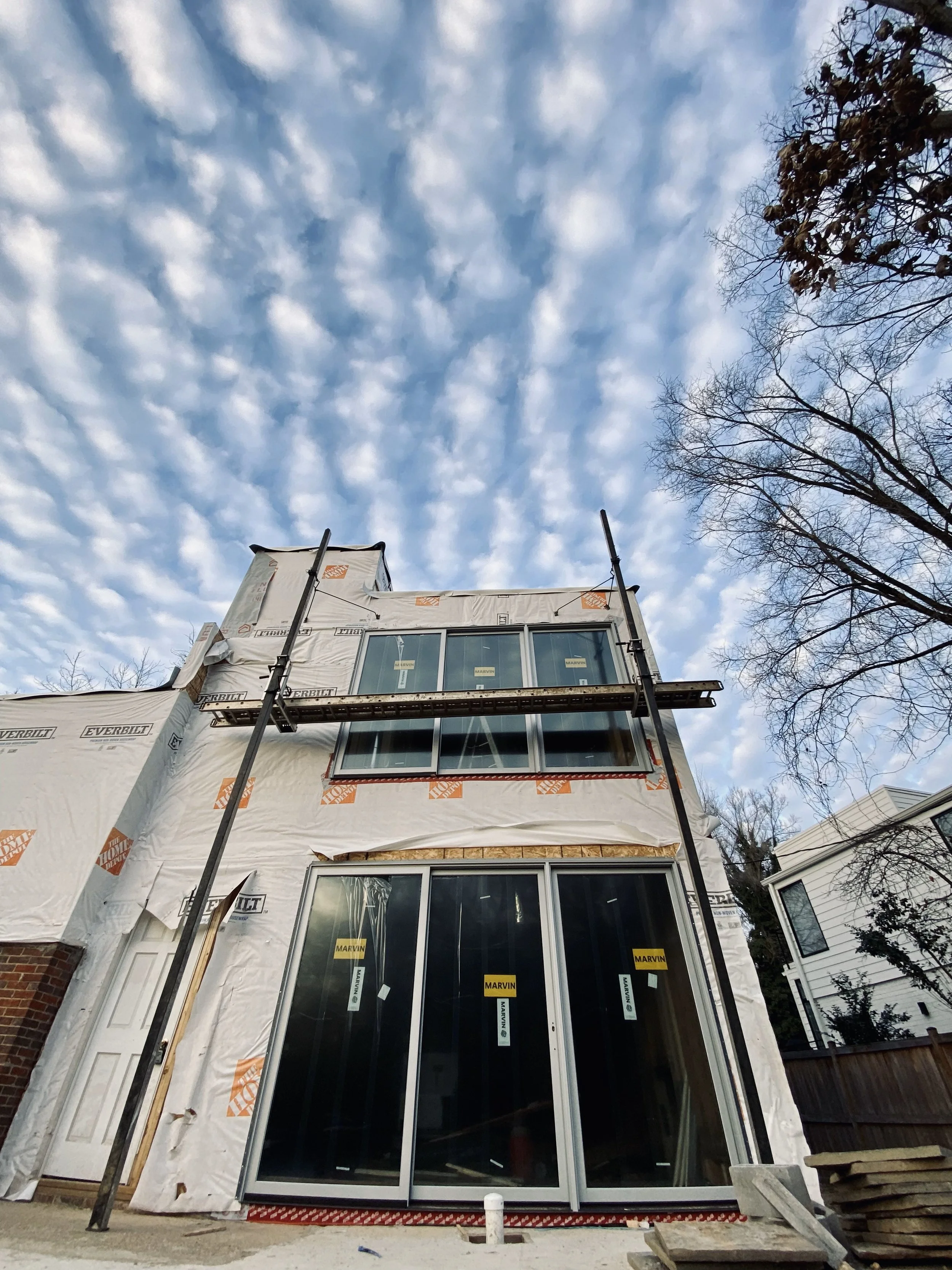 Dog Eye’s Views on the Steel Forest