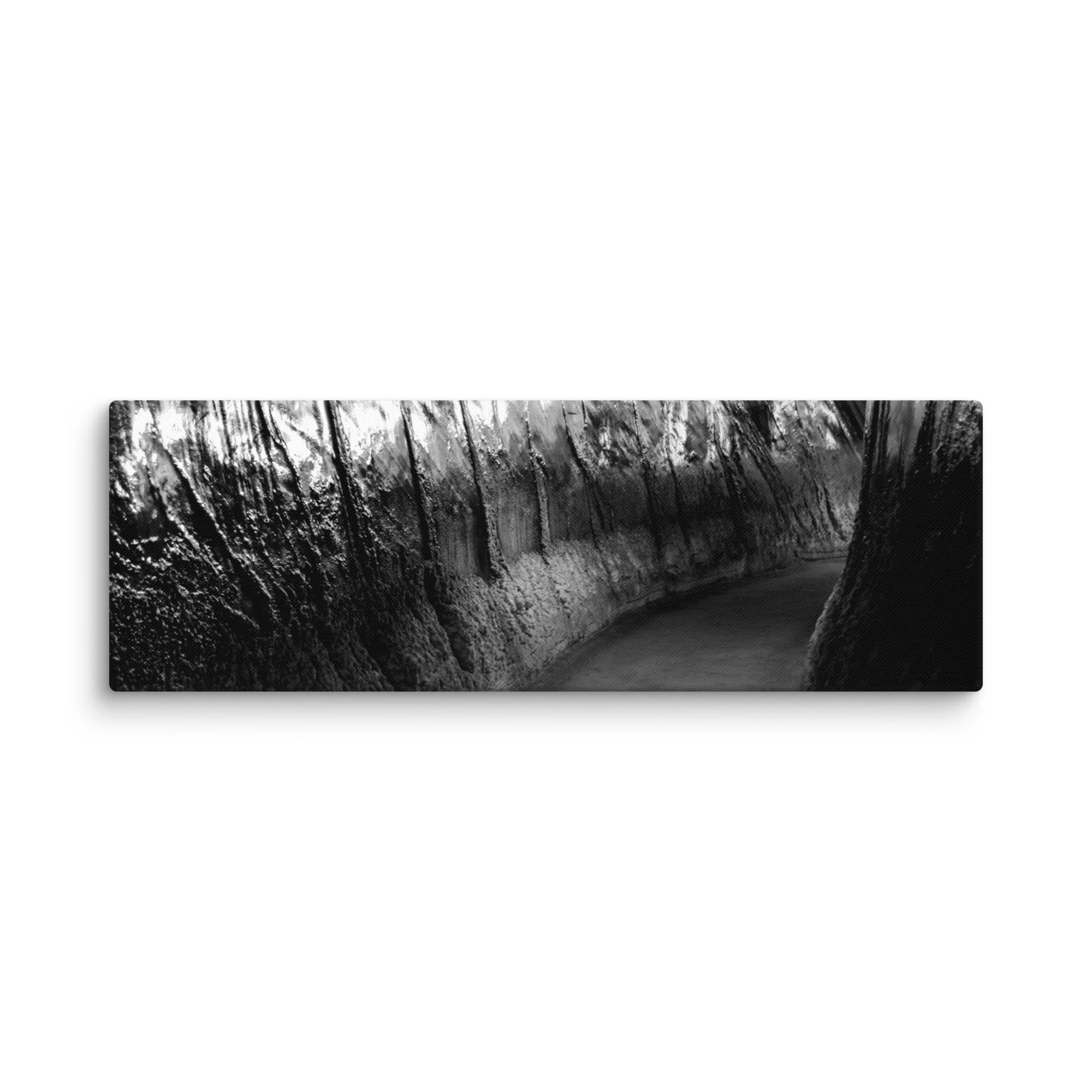 canvas-(in)-20x60-wall-66d74d93089c5.jpg
