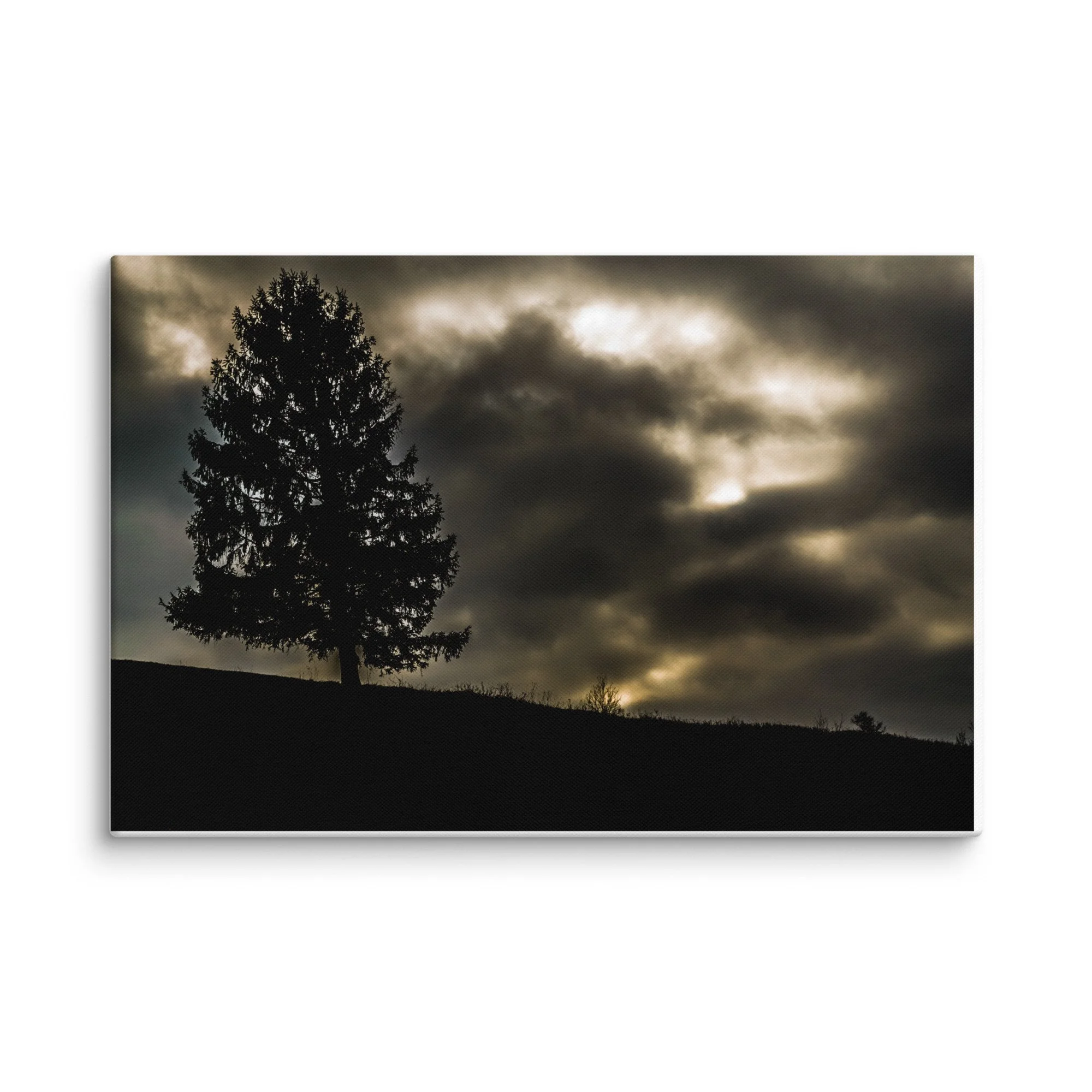 canvas-(in)-20x30-wall-66d759f399d1a.jpg