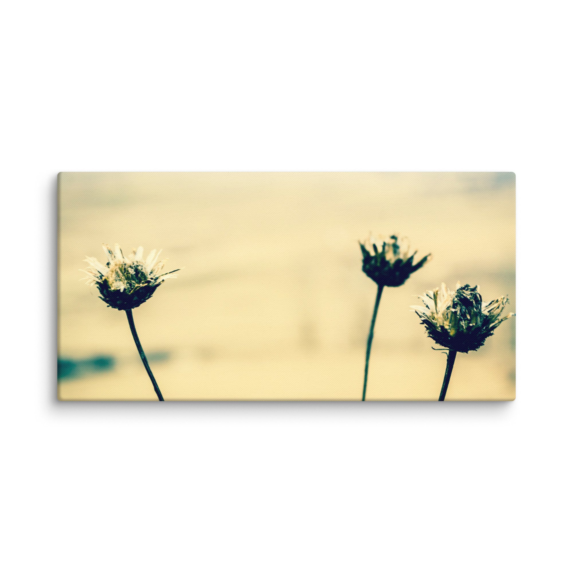 canvas-(in)-20x40-wall-66d760702a4fe.jpg