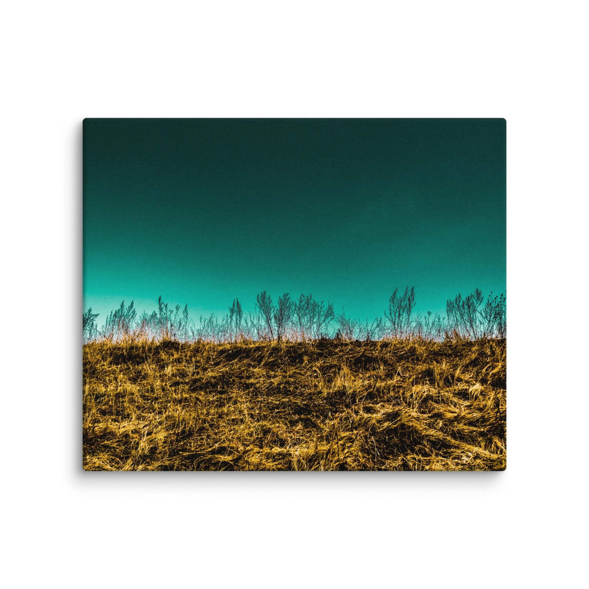 canvas-(in)-20x24-wall-66d7616467eca.jpg