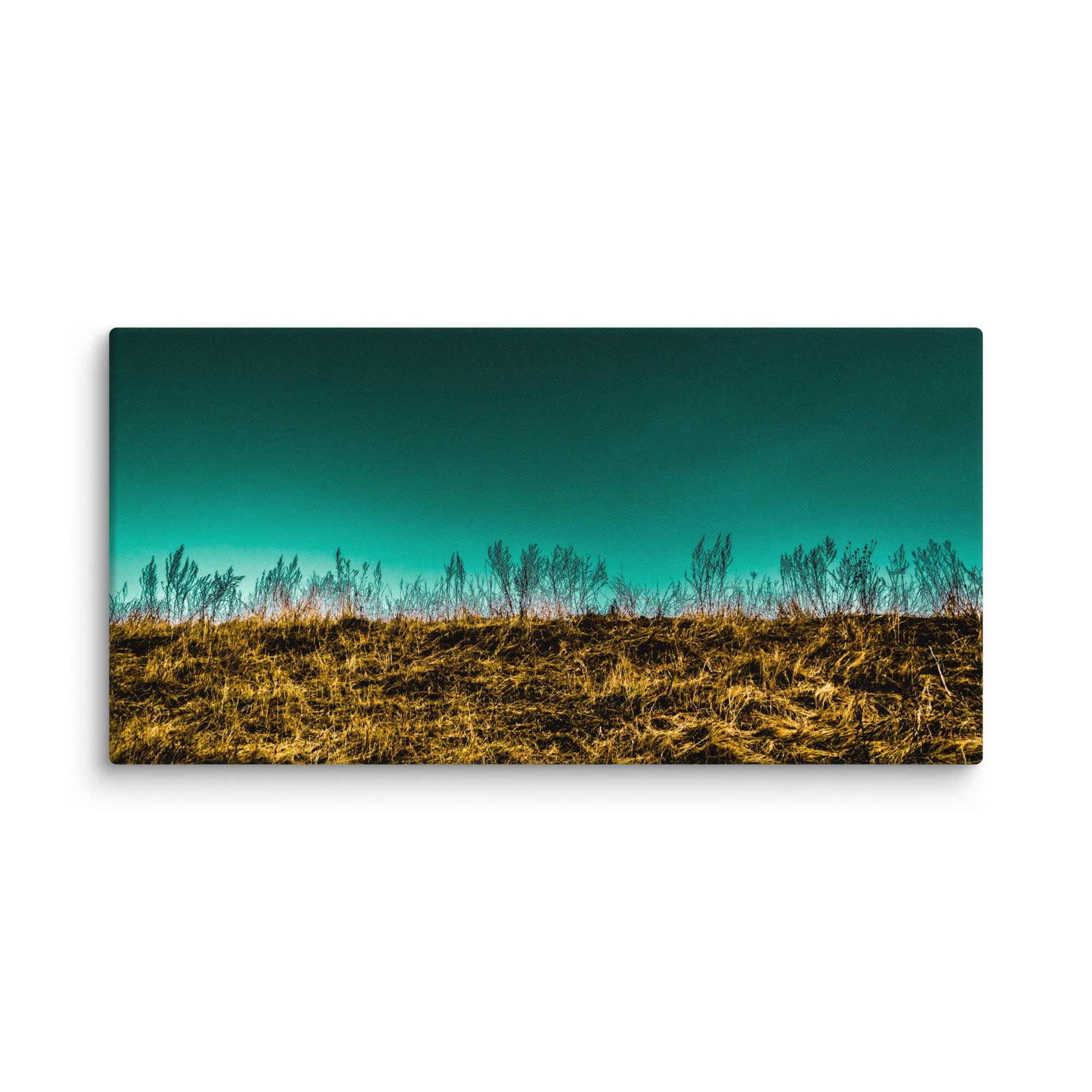 canvas-(in)-20x40-wall-66d76164680fe.jpg