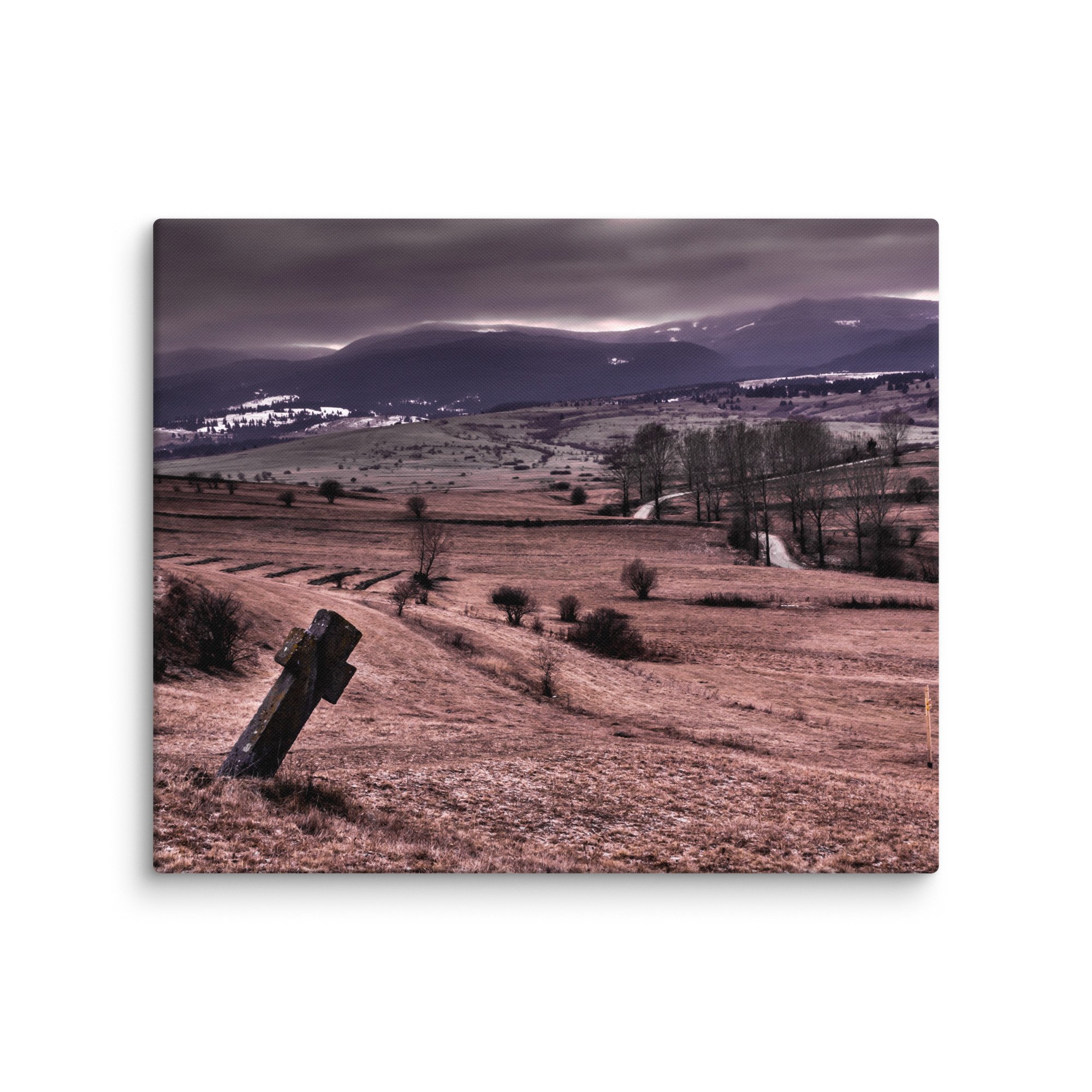 canvas-(in)-20x24-wall-66d762211ac5b.jpg