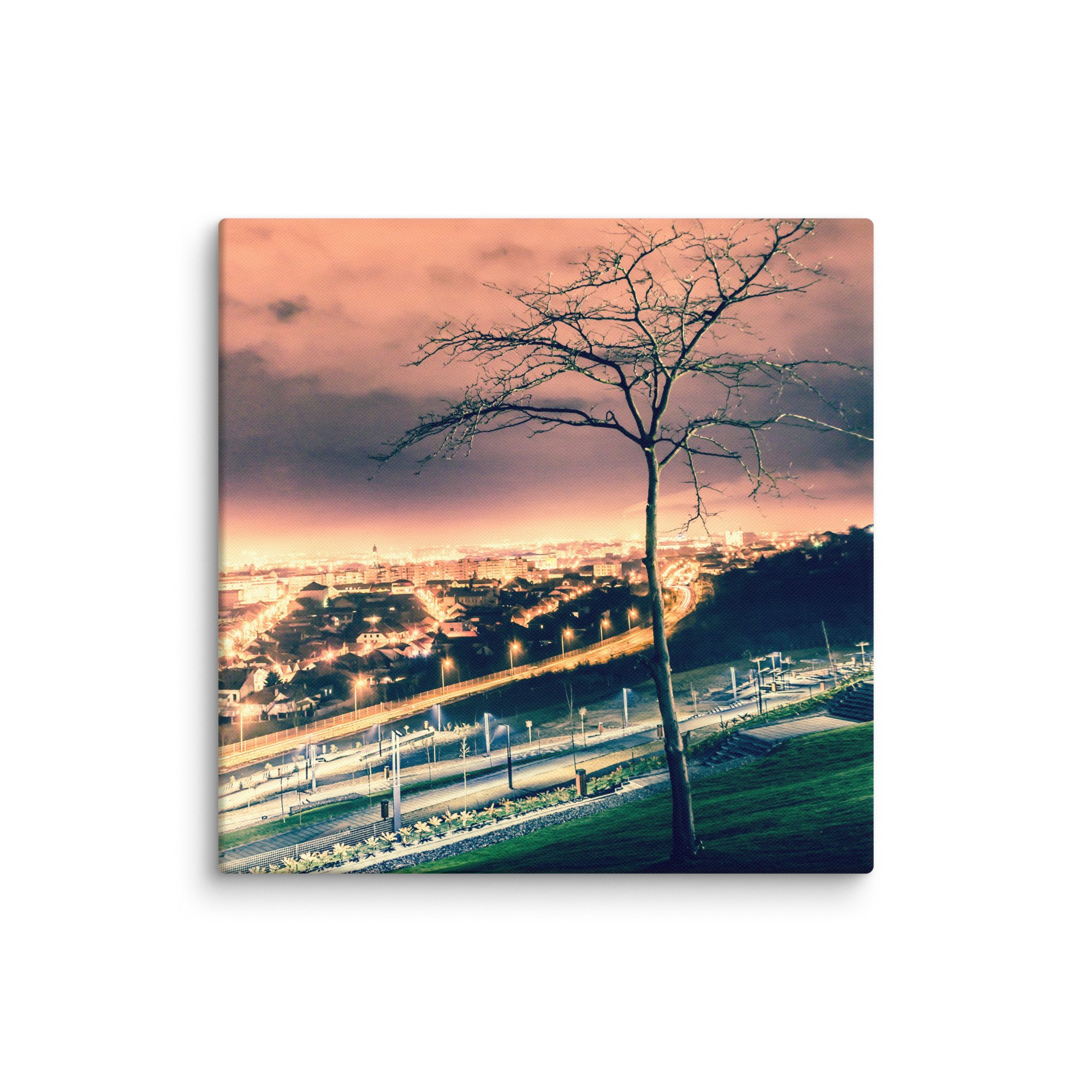 canvas-(in)-30x30-wall-66d8a83ce6cfe.jpg