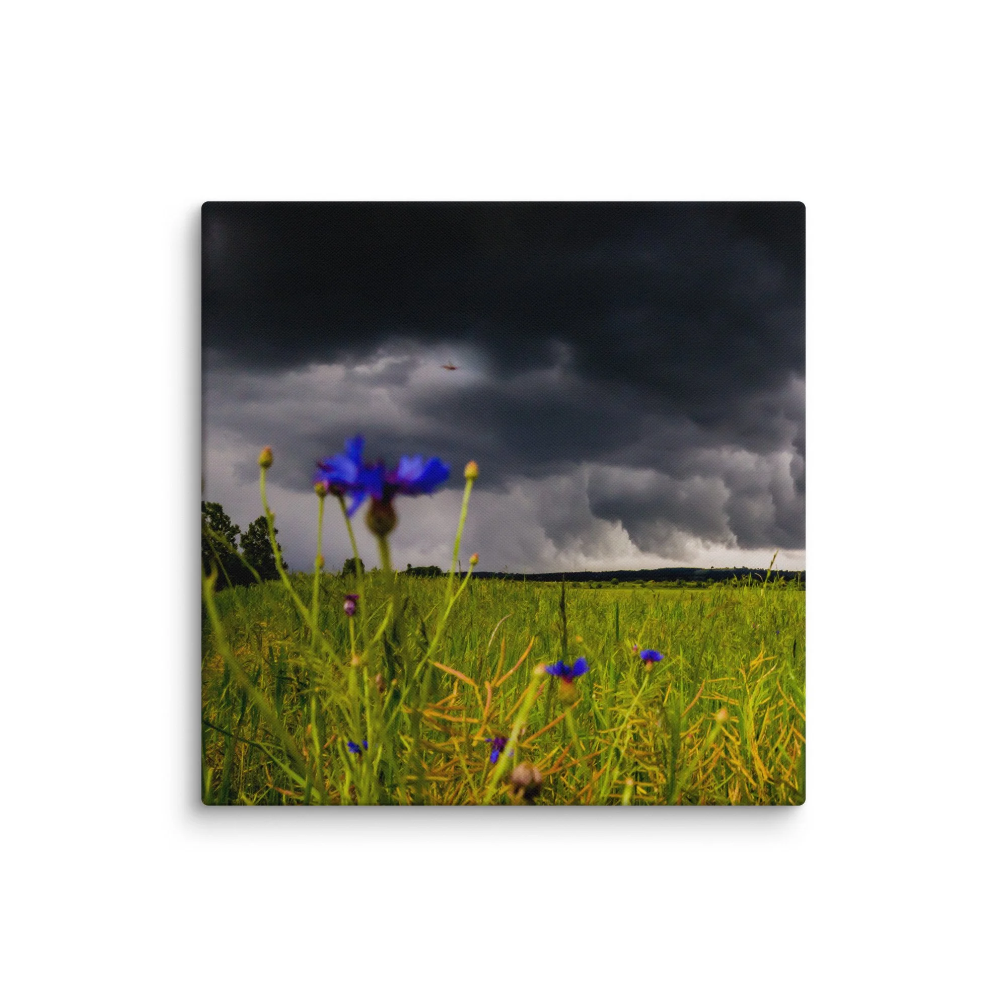 canvas-(in)-37x37-wall-66d8a95492804.jpg