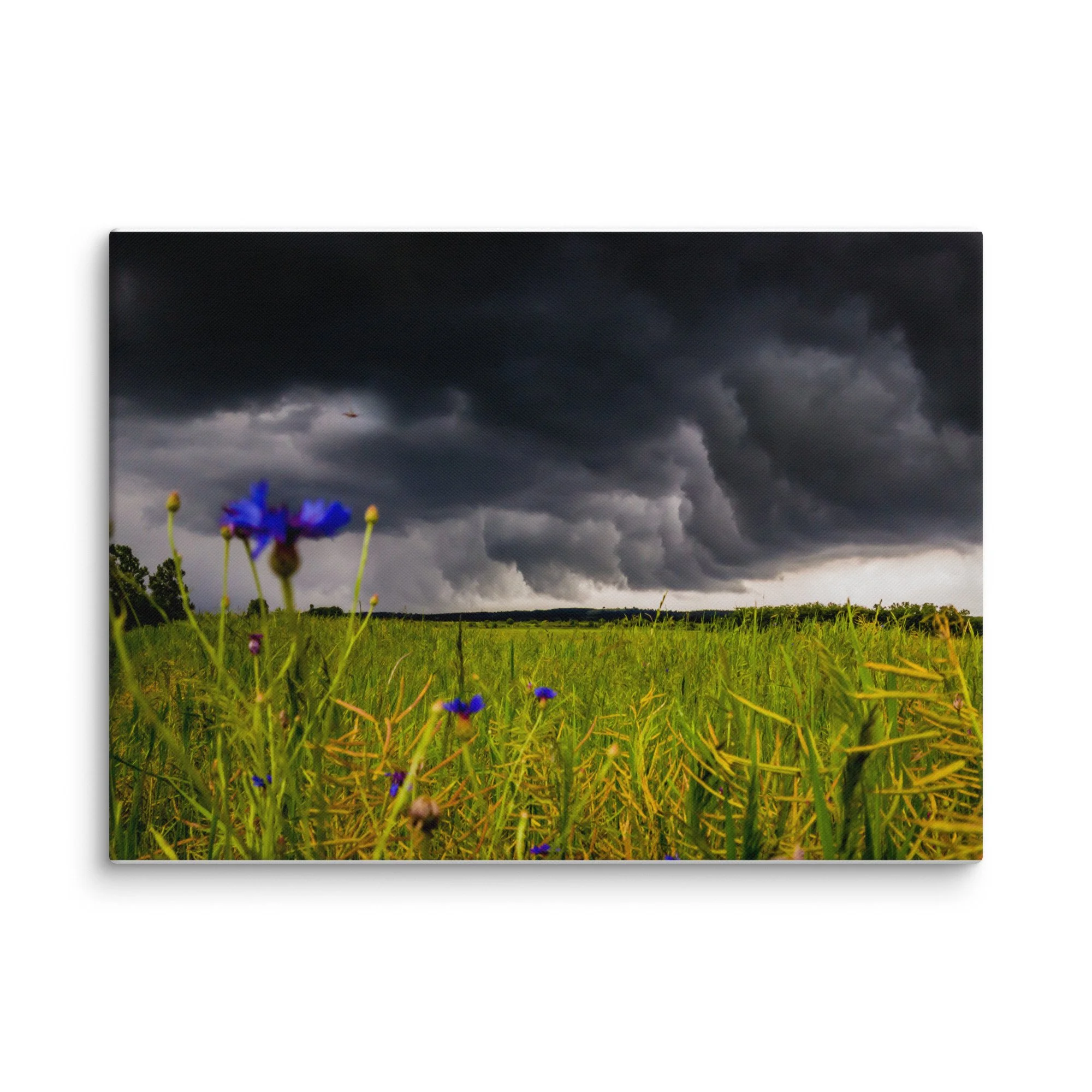 canvas-(in)-40x55-wall-66d8a95492884.jpg