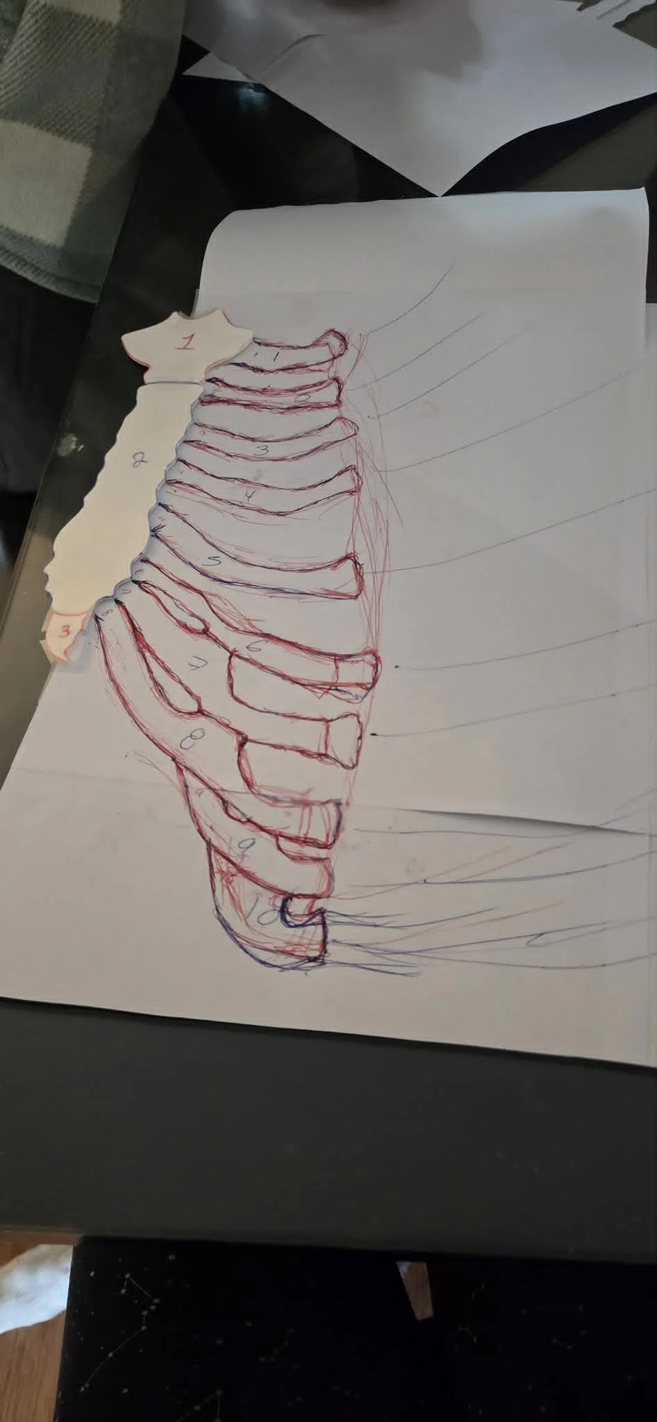 f54a3f21-8e32-4f2d-b9ae-fba66ce43d2b.jpg