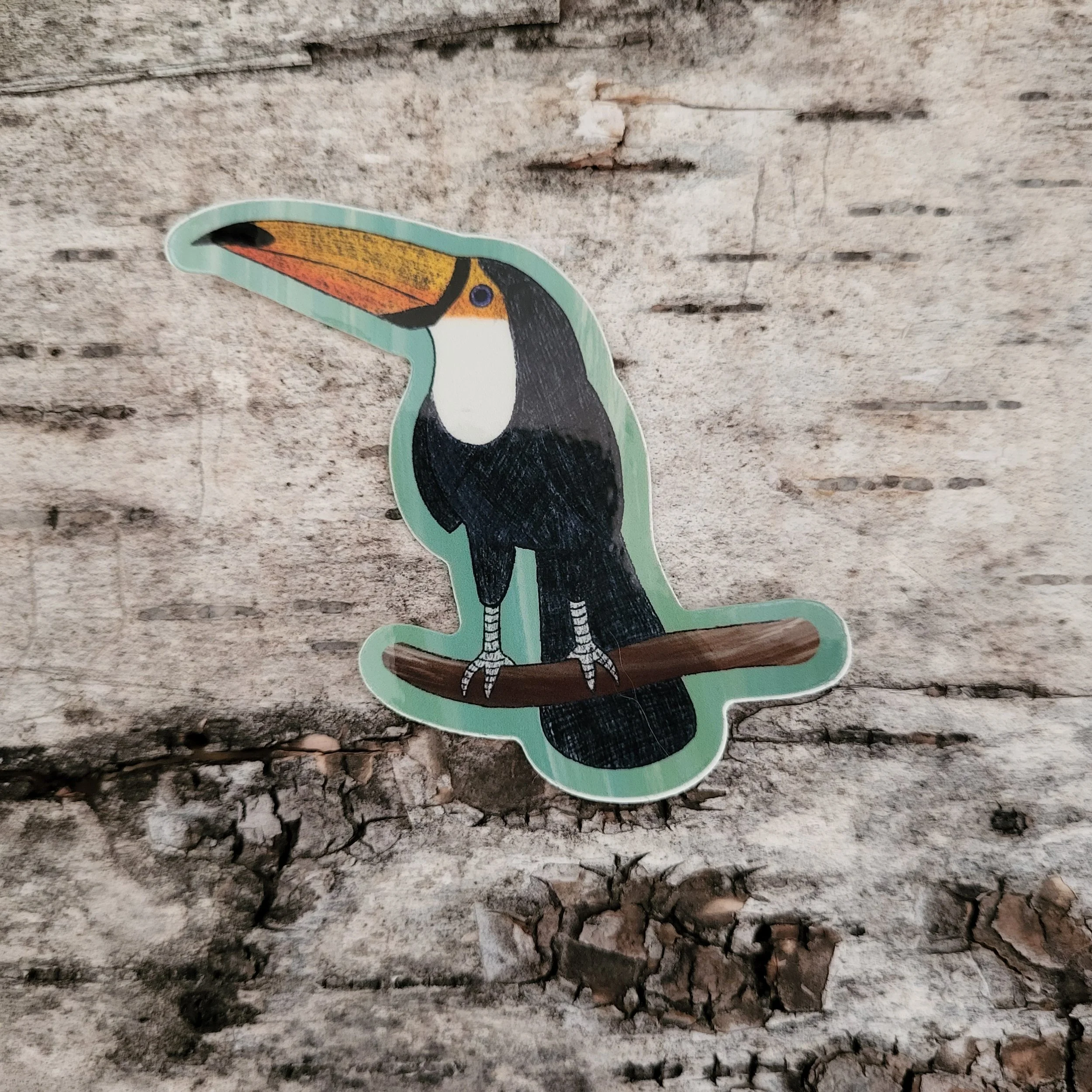 Tikki le Toucan