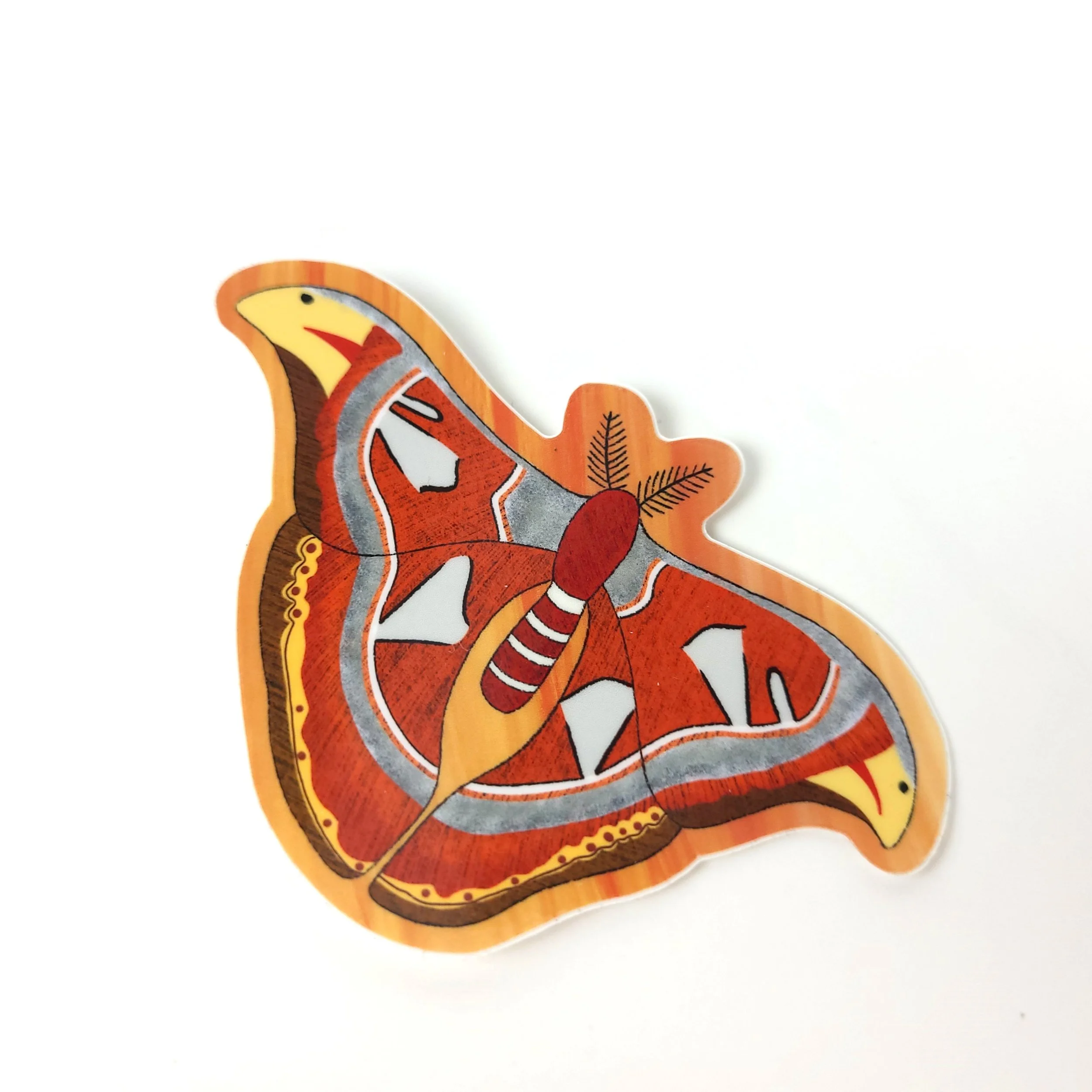Attacus Atlas