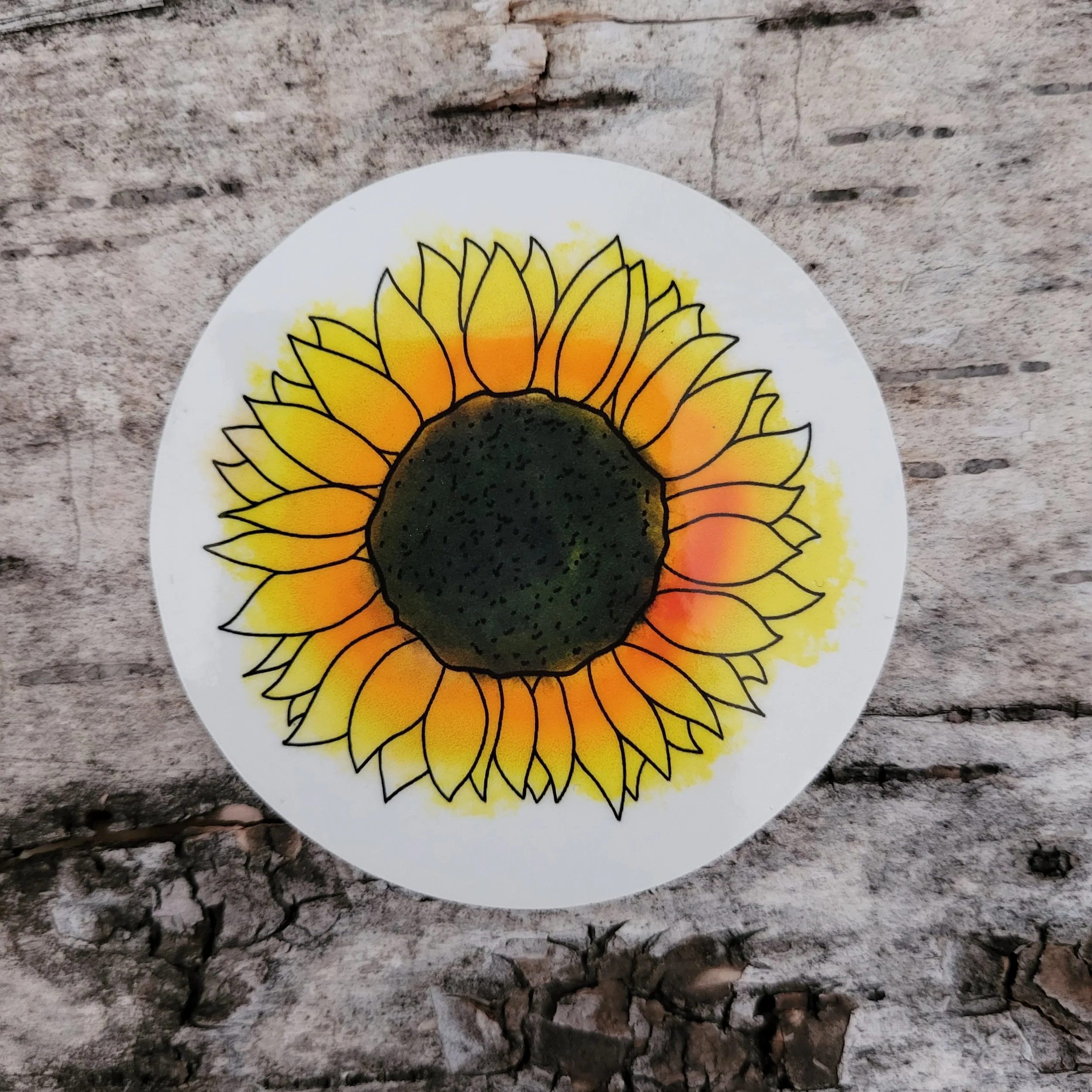 Tournesol