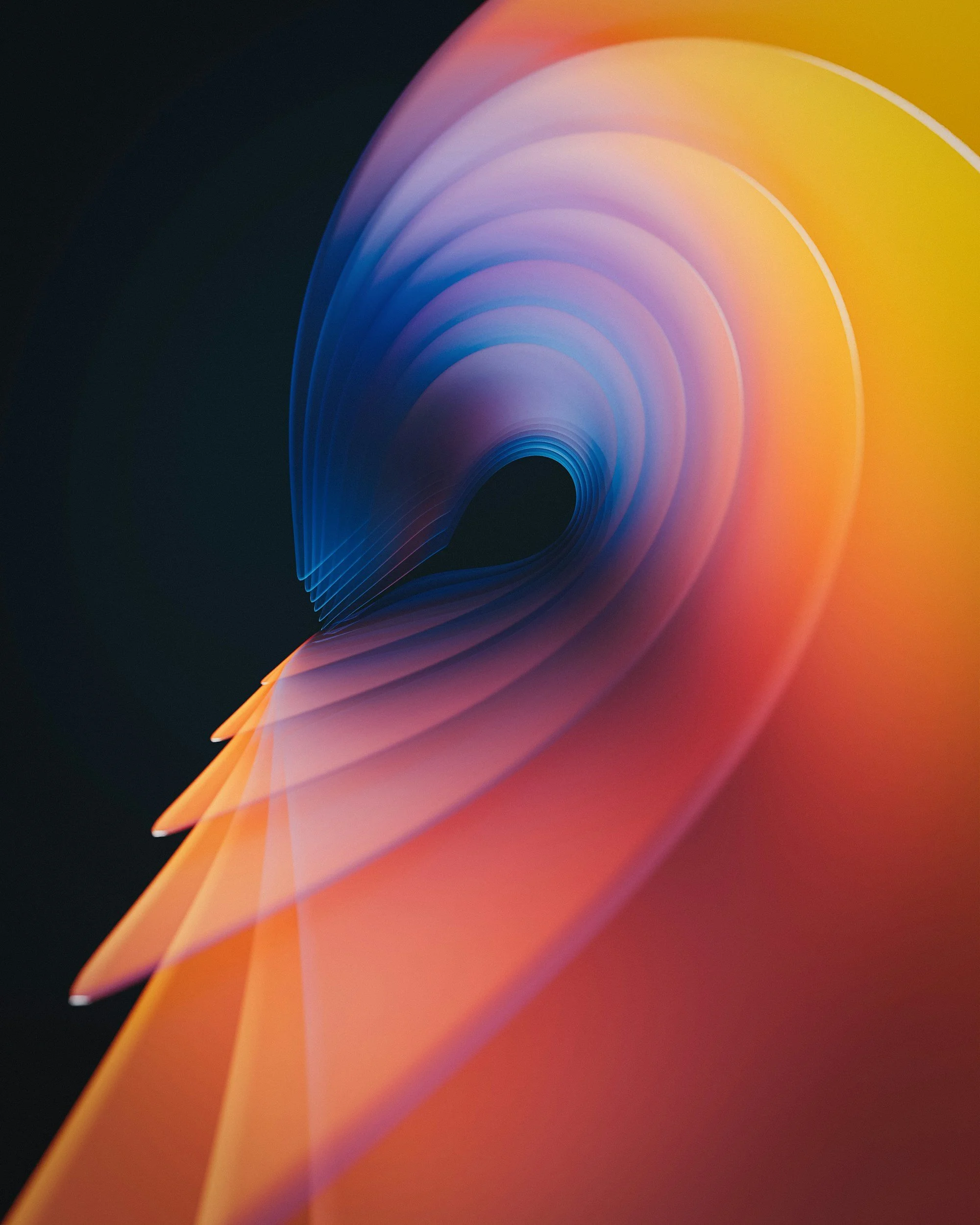 Sarah Clark — TASSC International