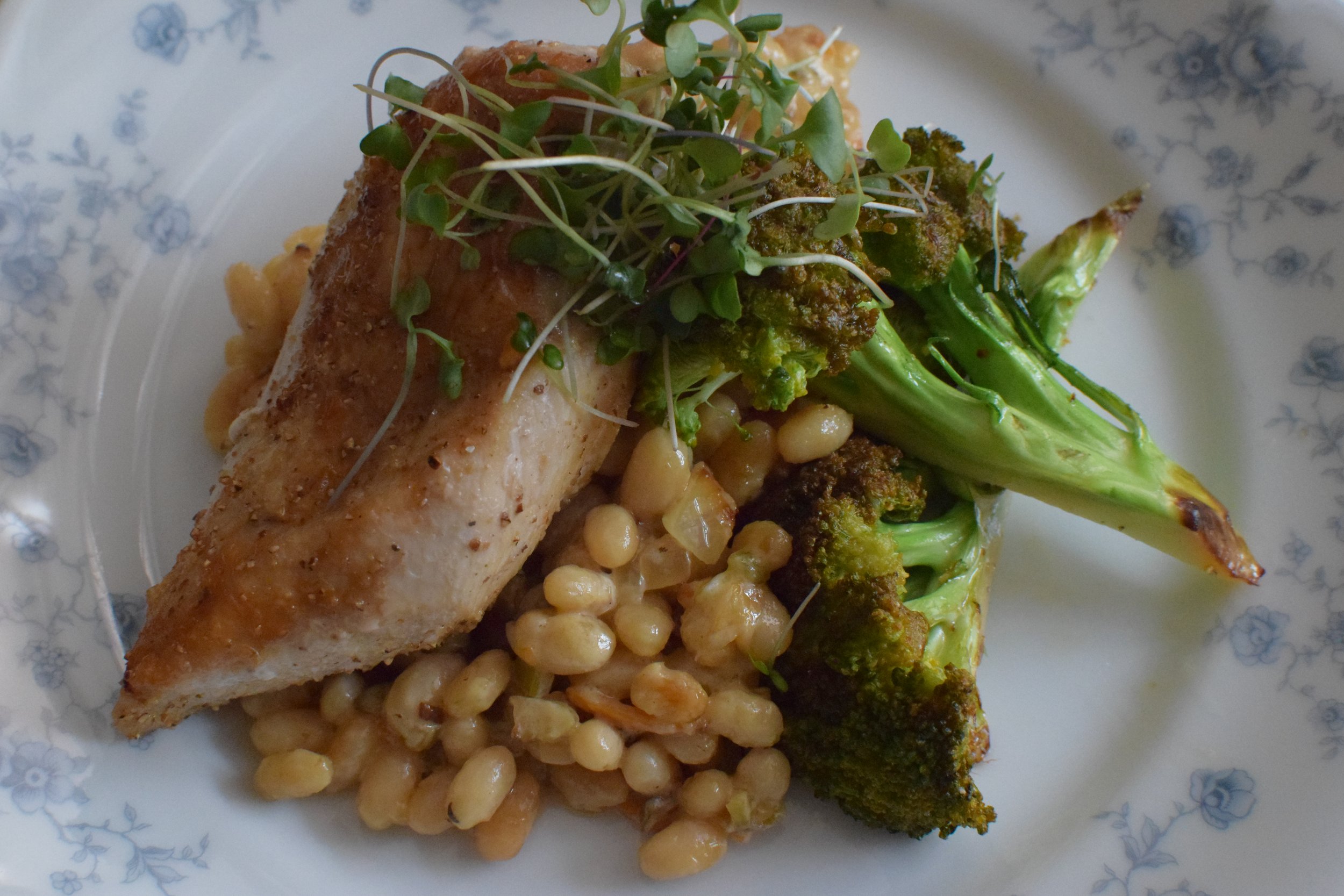 Plate of grilled chicken breast with roasted broccoli, sautéed white beans, and microgreens on top.