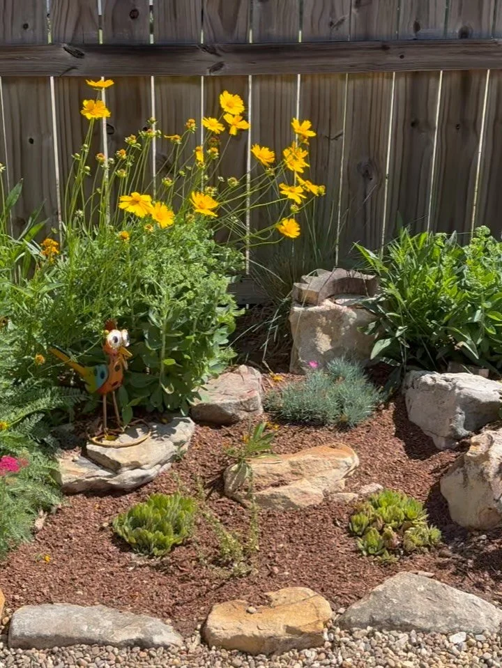 This side garden was transformed from boring bushes to a wildflower rock garden. Rocks act as anchors for plants and help highlight their beauty by contrast while creating a natural look. Rock on! 🪨 🌺
