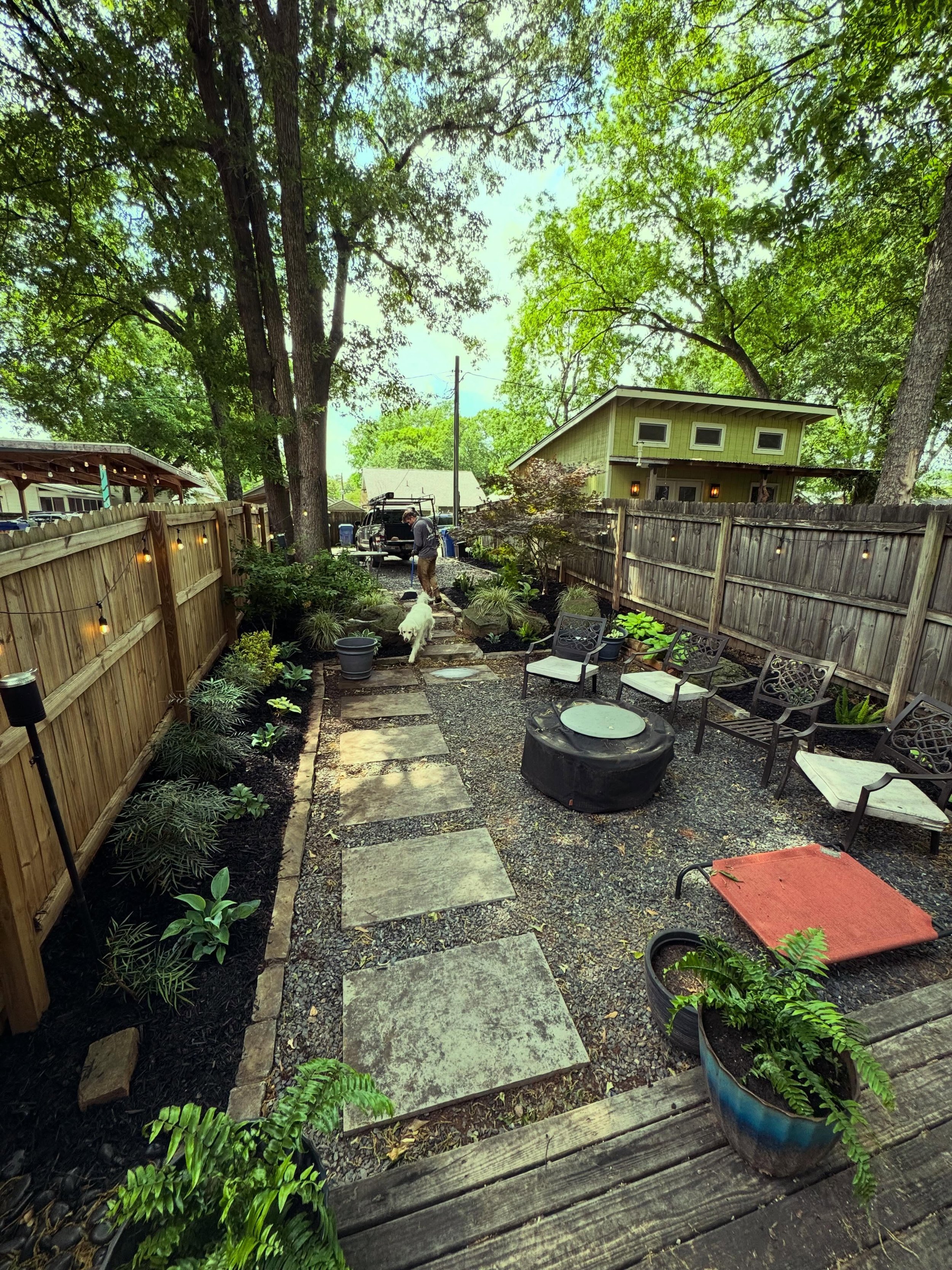Backyard garden refresh with oak leaf hydrangea, gardenia, loropetalum, hastas, foxtail ferns, Lenten roses, and Boston ferns. Black mulch gives a crisp, clean look. Ready for summer in this shady green nook!