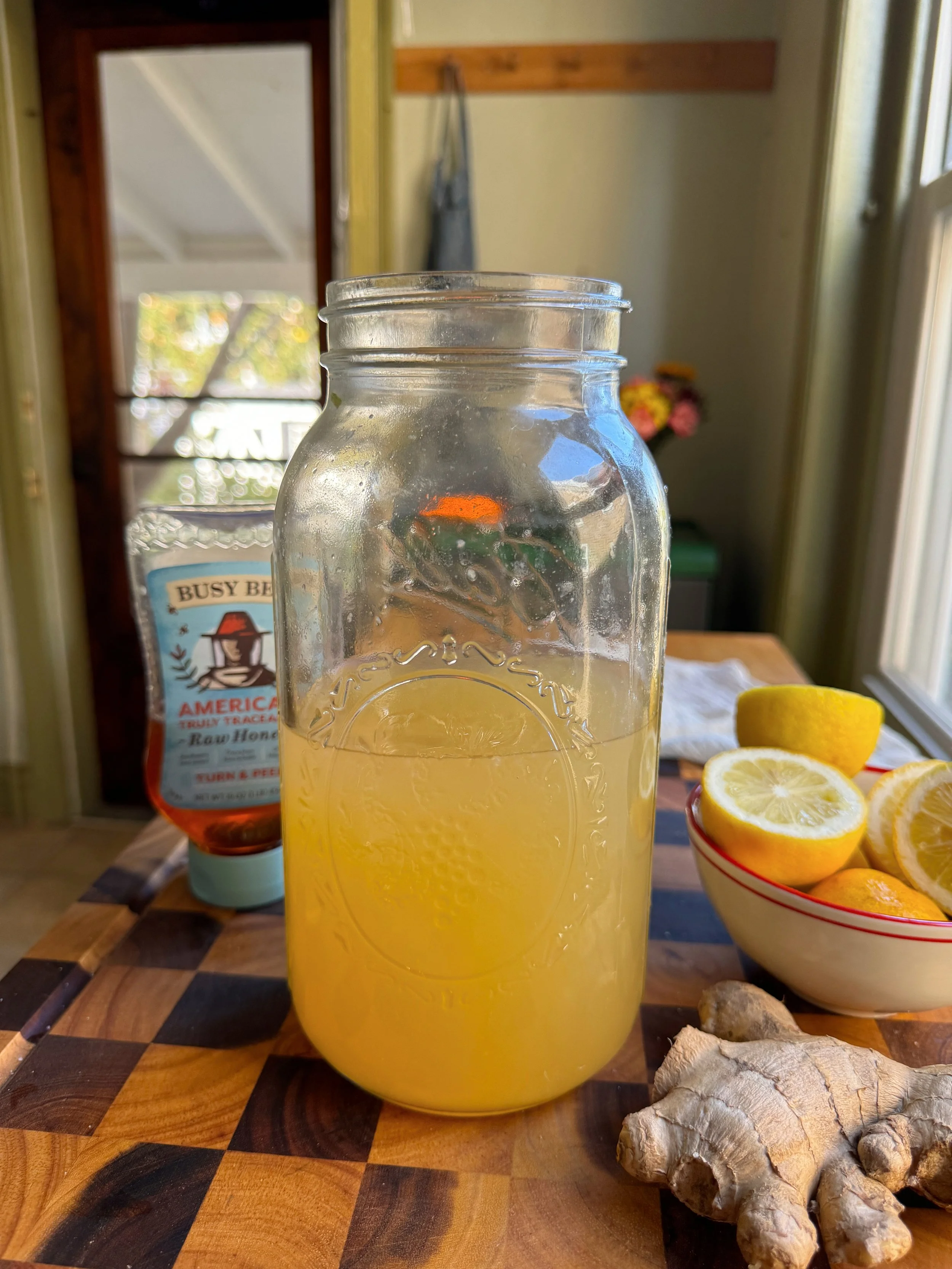 Ginger Beer from Scratch — Soko's Kitchen