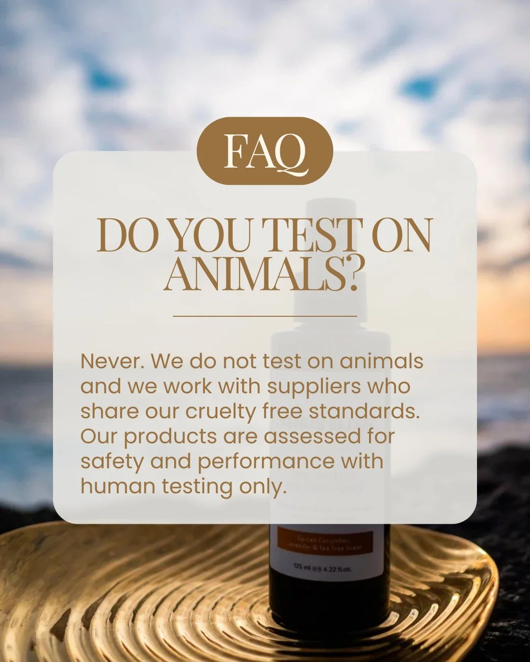 One of our core values is to be cruelty-free in our product testing. We care for animals as much as you do, even creating their own natural shampoos and spritzers, all lovingly made and sold by us.

 #DogCare #VenusElixirPets #AustralianmadeSkincare 