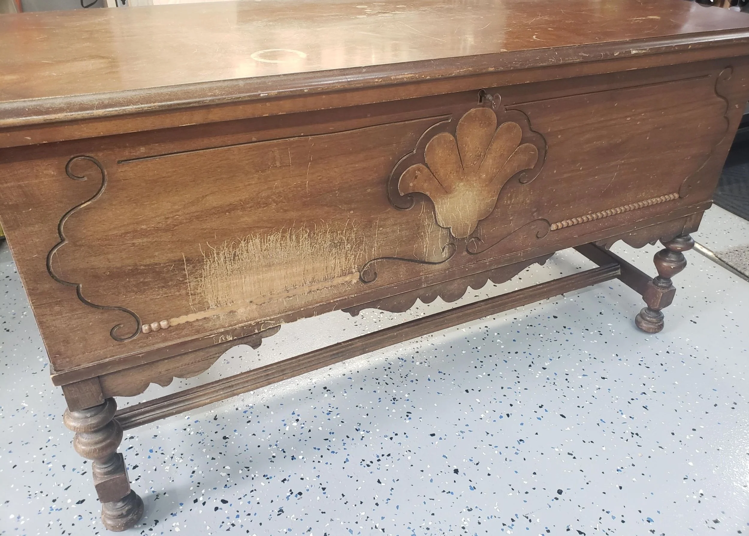 BEFORE - chest with extensive pet damage