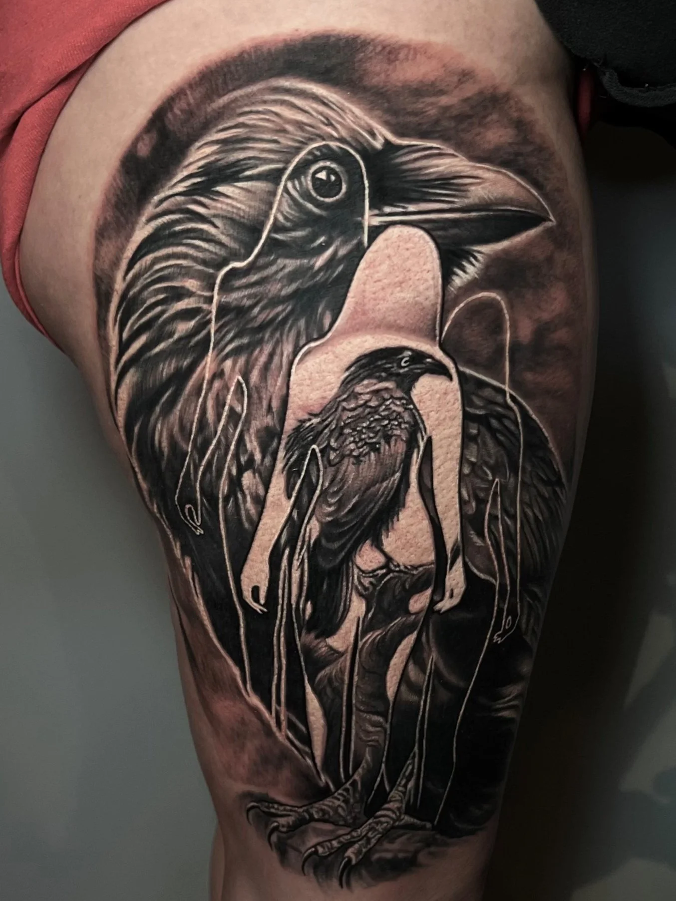 Black and gray tattoo of a large bird's head and a smaller bird standing below, with detailed feathers and outlines.