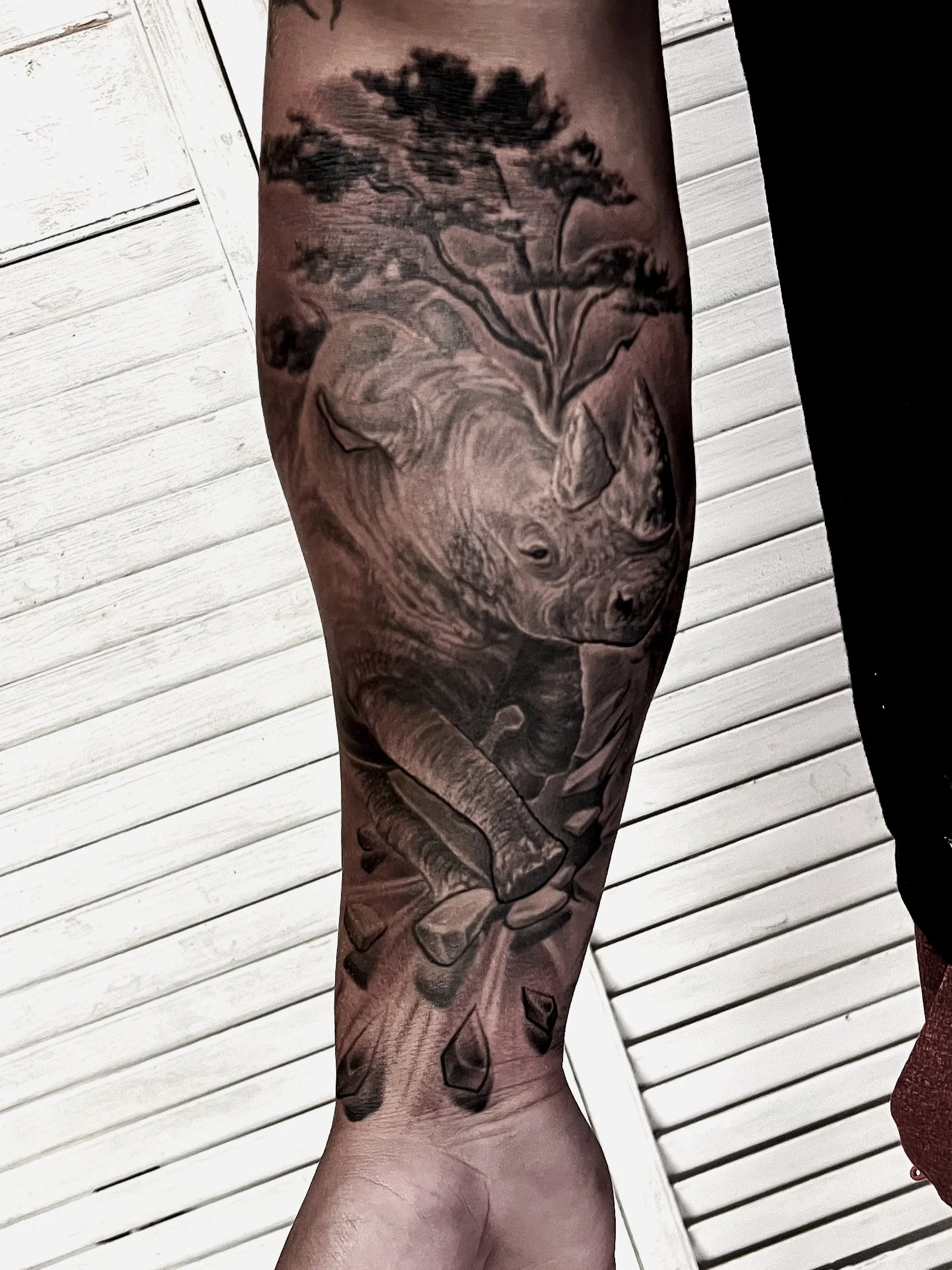 Black and gray tattoo of a bear holding a plant with a tree in the background, located on a person's arm.