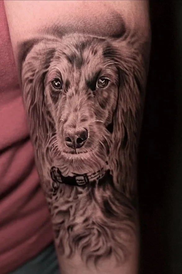 DOG PORTRAIT
