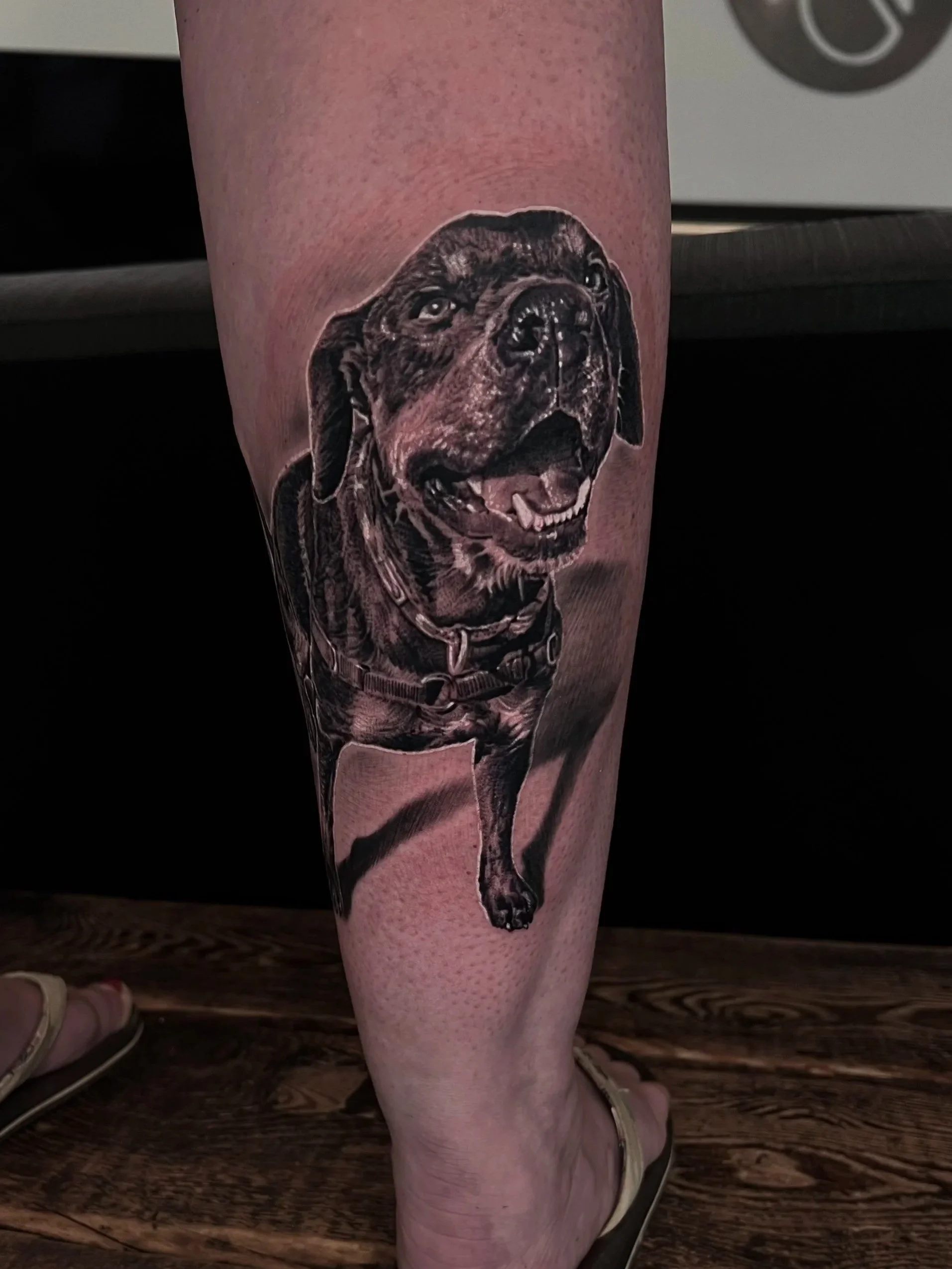 Black and grey realistic tattoo of a happy Labrador retriever dog on person's leg.