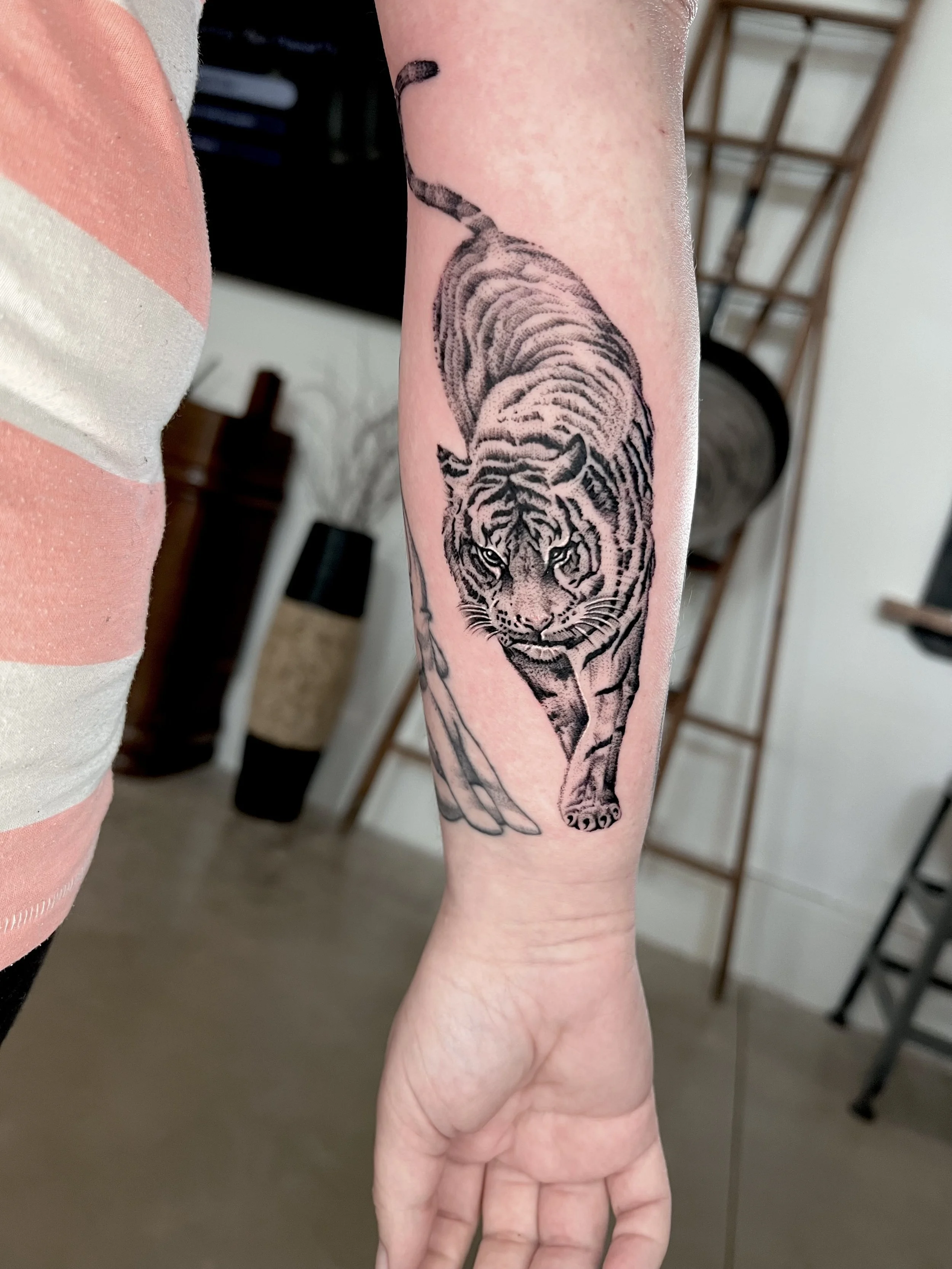 Black and gray tiger tattoo on person's forearm.