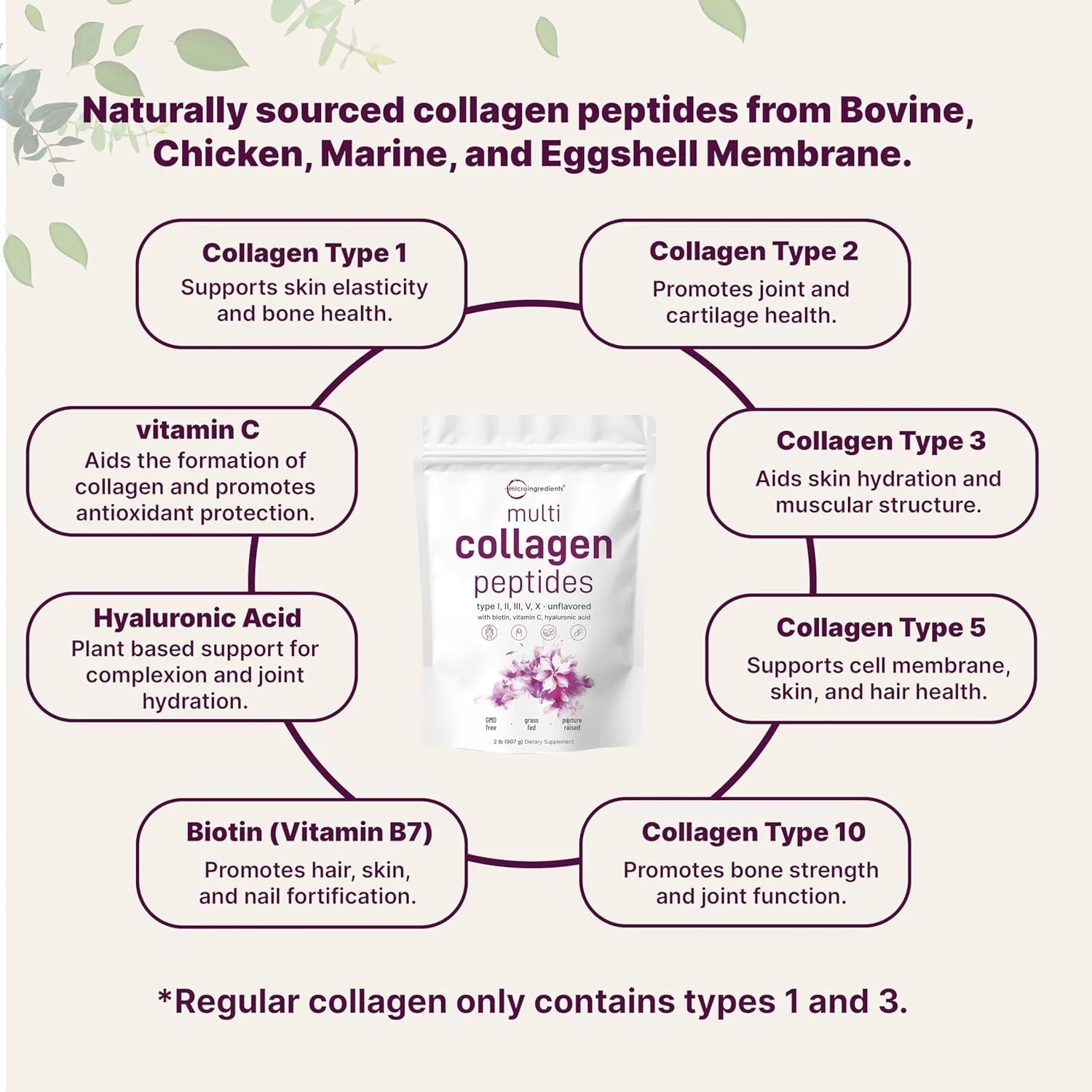 Micro Ingredients Multi Collagen Peptides Powder3.jpg